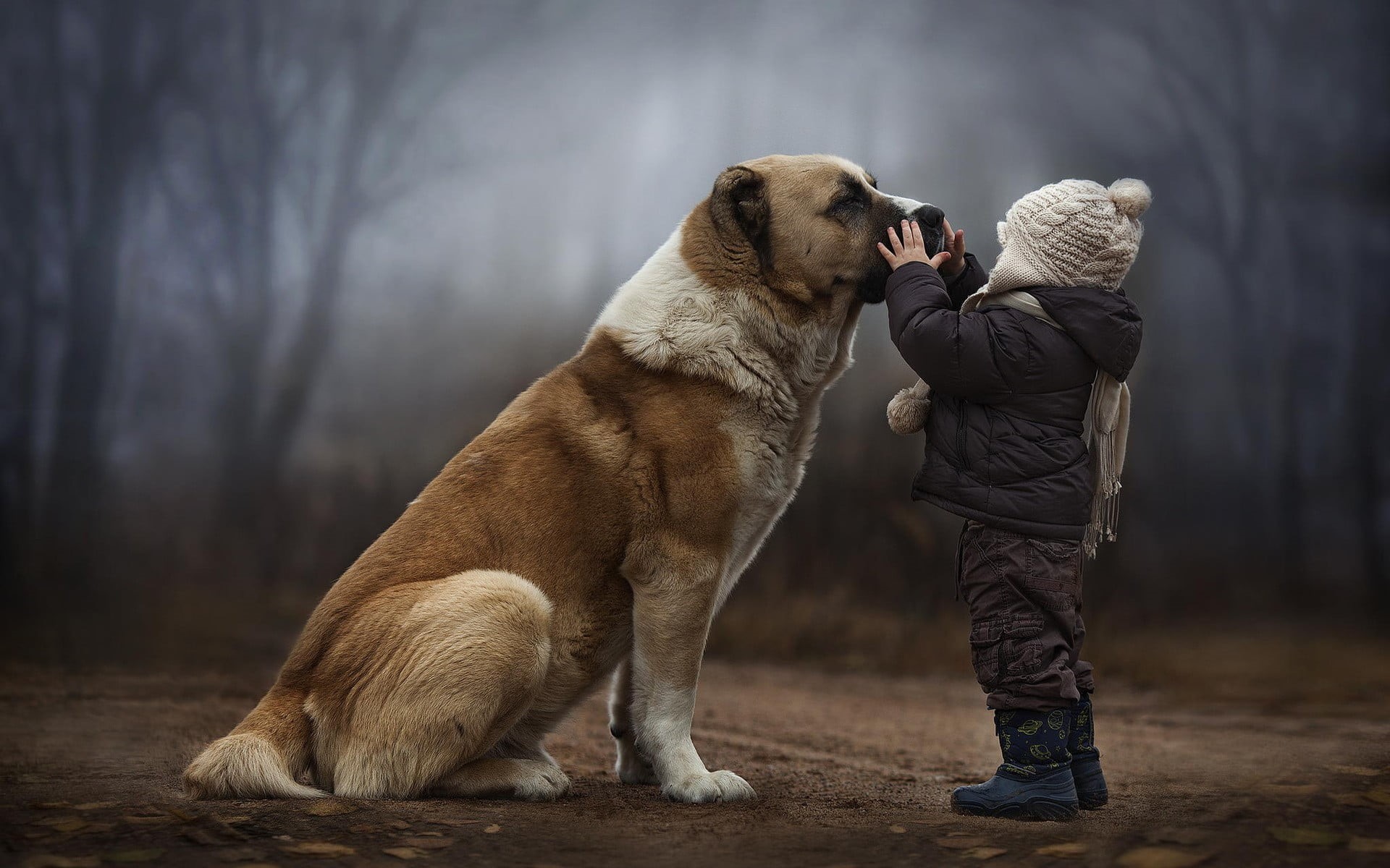 hood - clothing, dog, canine, vertebrate, brown, domestic, people, pets, children, leisure activity, domestic animals, full length, pet owner, 1080P, forest, HD Wallpaper