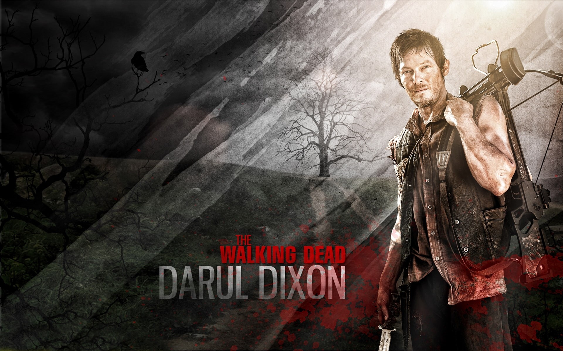 1080P, dixon, The Walking Dead, walking, dead, daryl, HD Wallpaper