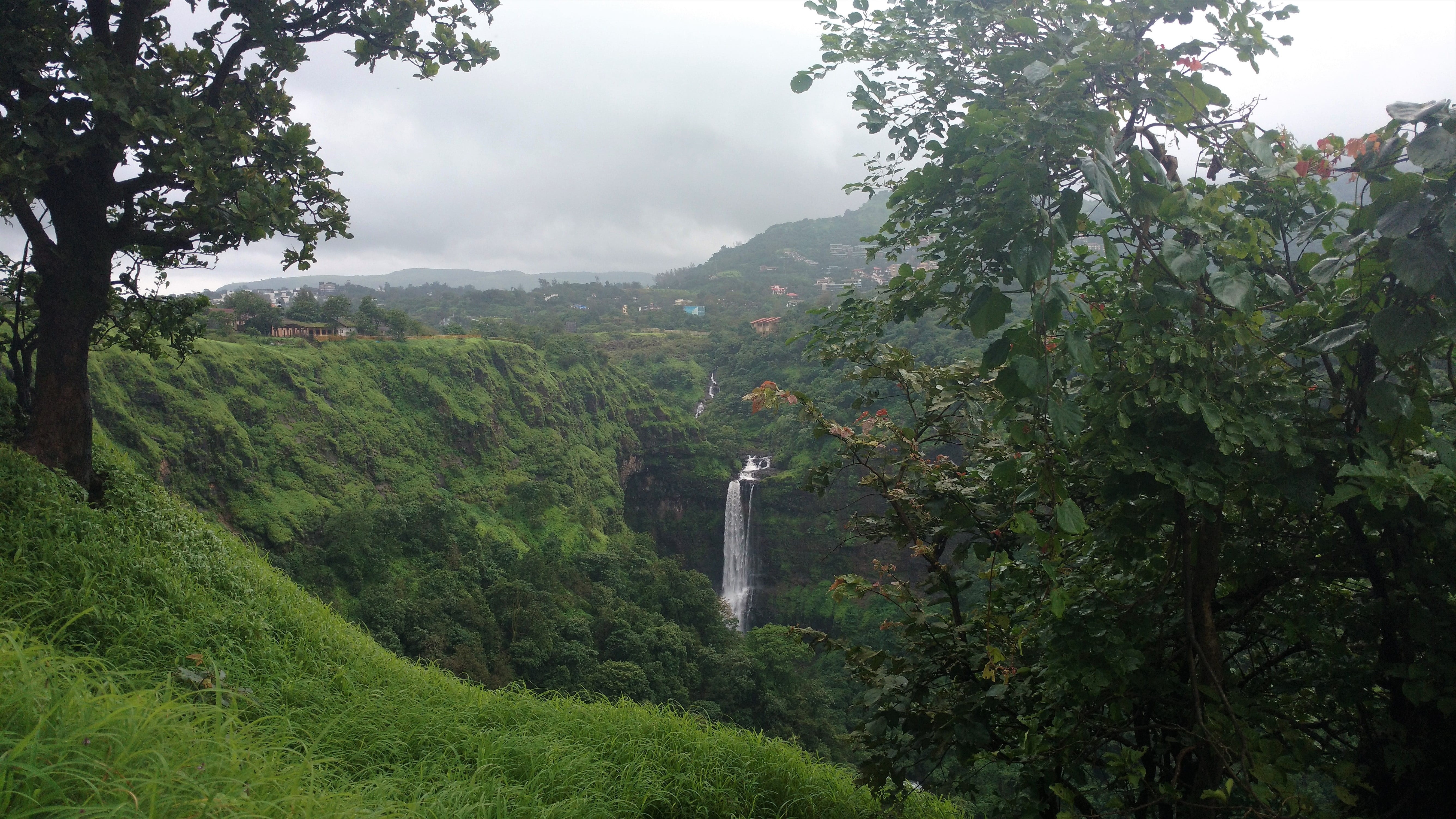 lonavala, plant, 5K, fog, outdoors, waterfall, environment, flowing water, monsoon, tranquility, forest, growth, foliage, tranquil scene, india, scenics - nature, HD Wallpaper