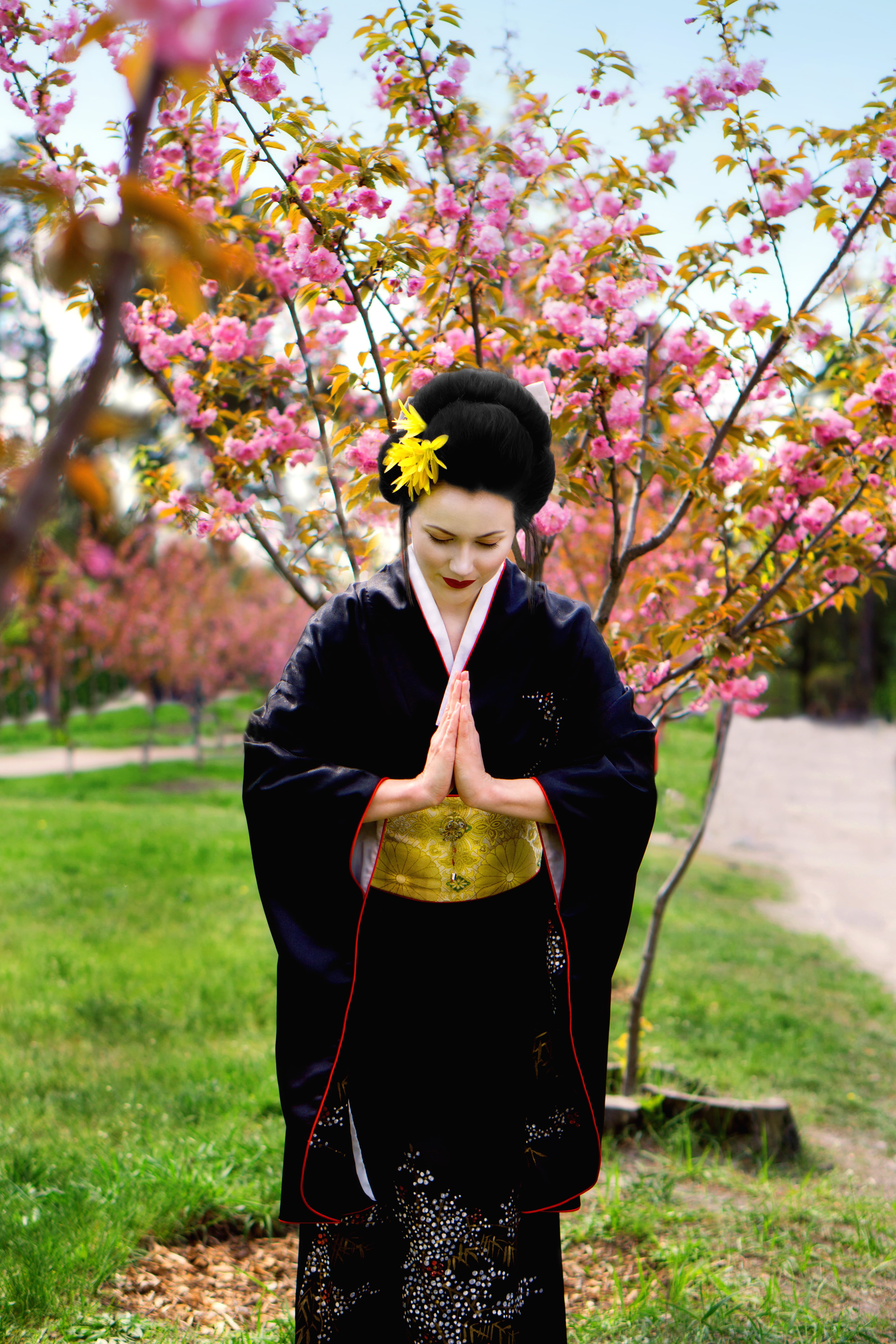 adult, young adult, 5K, flowering plant, tree, flower, day, fragility, beautiful woman, growth, geisha, springtime, standing, freshness, outdoors, Japan, Phone HD Wallpaper