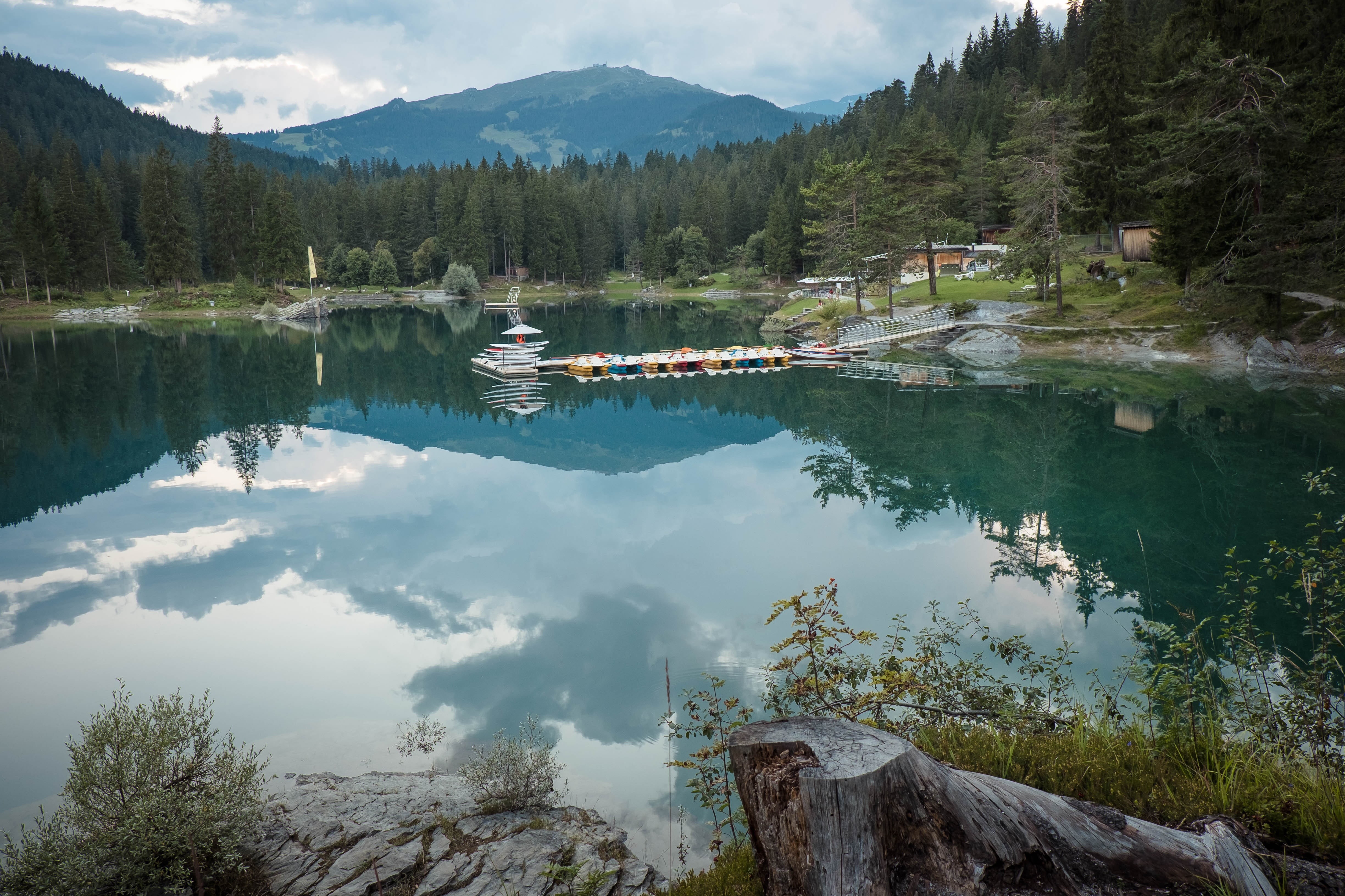forest, mountain range, away, no people, nature conservation, forest path, tranquil scene, day, lake, beauty in nature, switzerland, waters, mood, water, HD Wallpaper