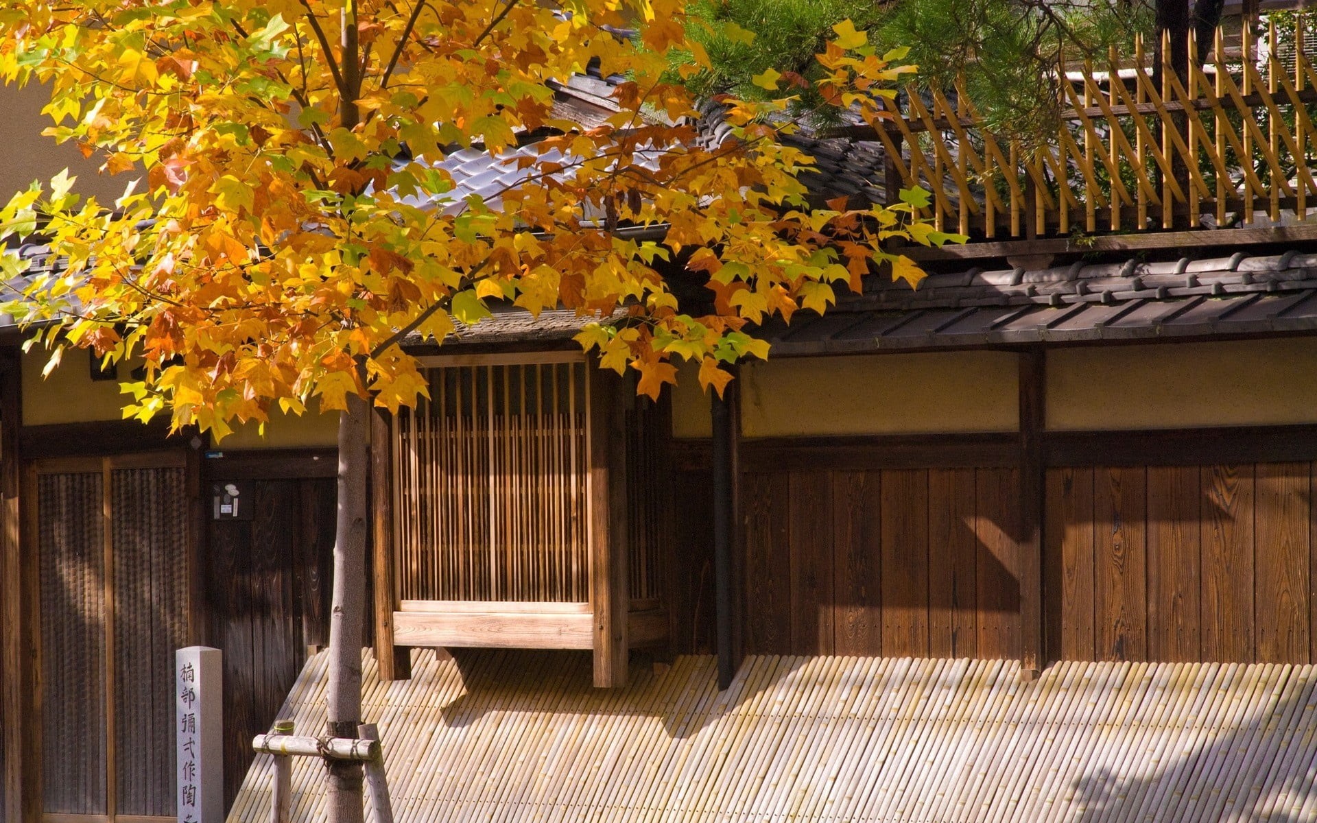 architecture, no People, plant, built Structure, hieroglyphs, autumn, brown, japan, residential Building, fence, growth, outdoors, house, kyoto Prefecture, HD Wallpaper