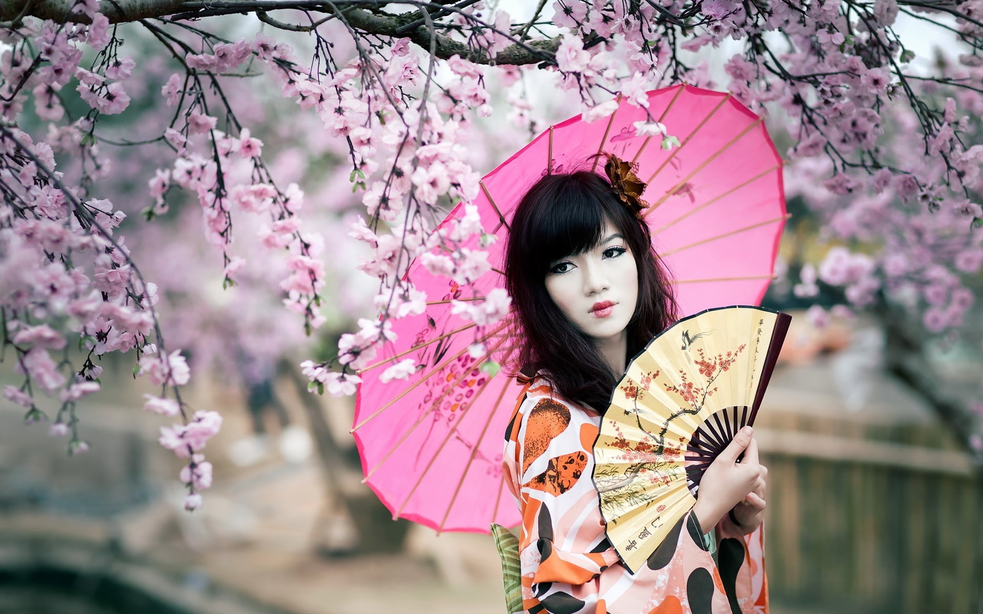 Girl, Blossoms, Fan, Cherry, Umbrella, 1080P, Kimono, HD Wallpaper