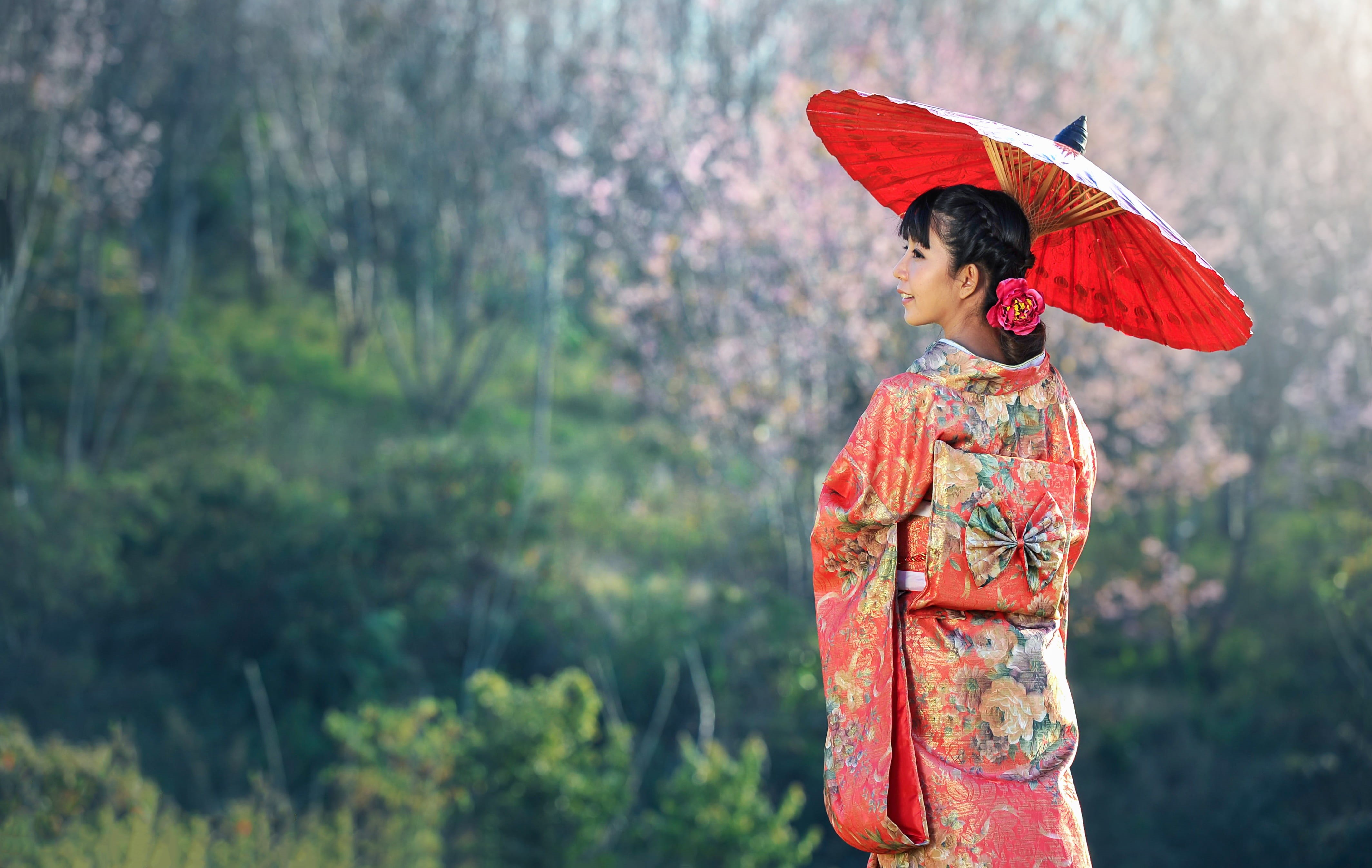 official, traditional clothing, holding, red, traditional, pretty, up, modern, protection, kyoto, plant, cute, umbrella, nature, daytime, holy place, celebrate, HD Wallpaper