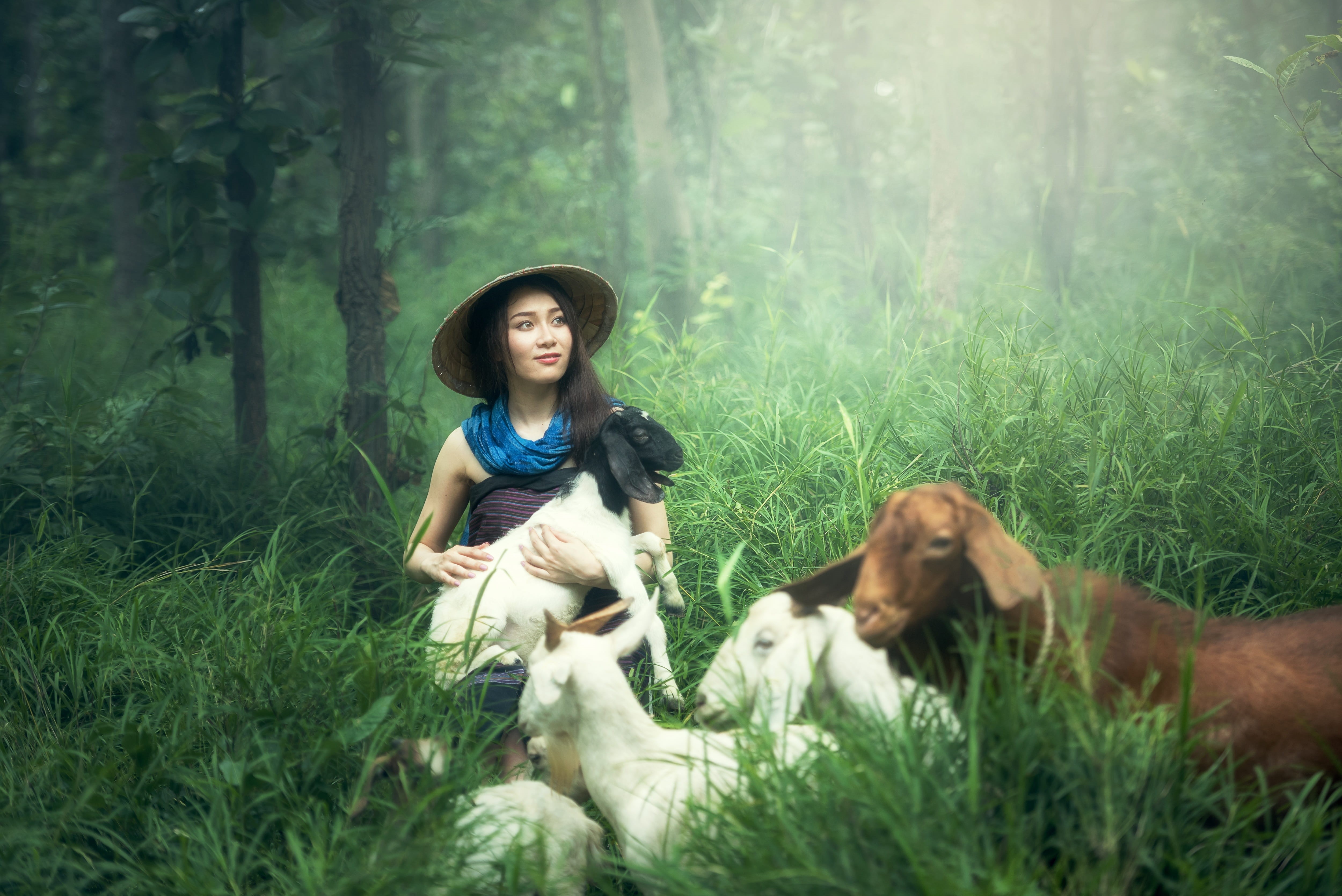 animals, middle, smiling, livestock, outdoors, in the country, outdoor, lifestyle, adult, little, farmer, caucasian people, casual clothing, farm, strong, HD Wallpaper