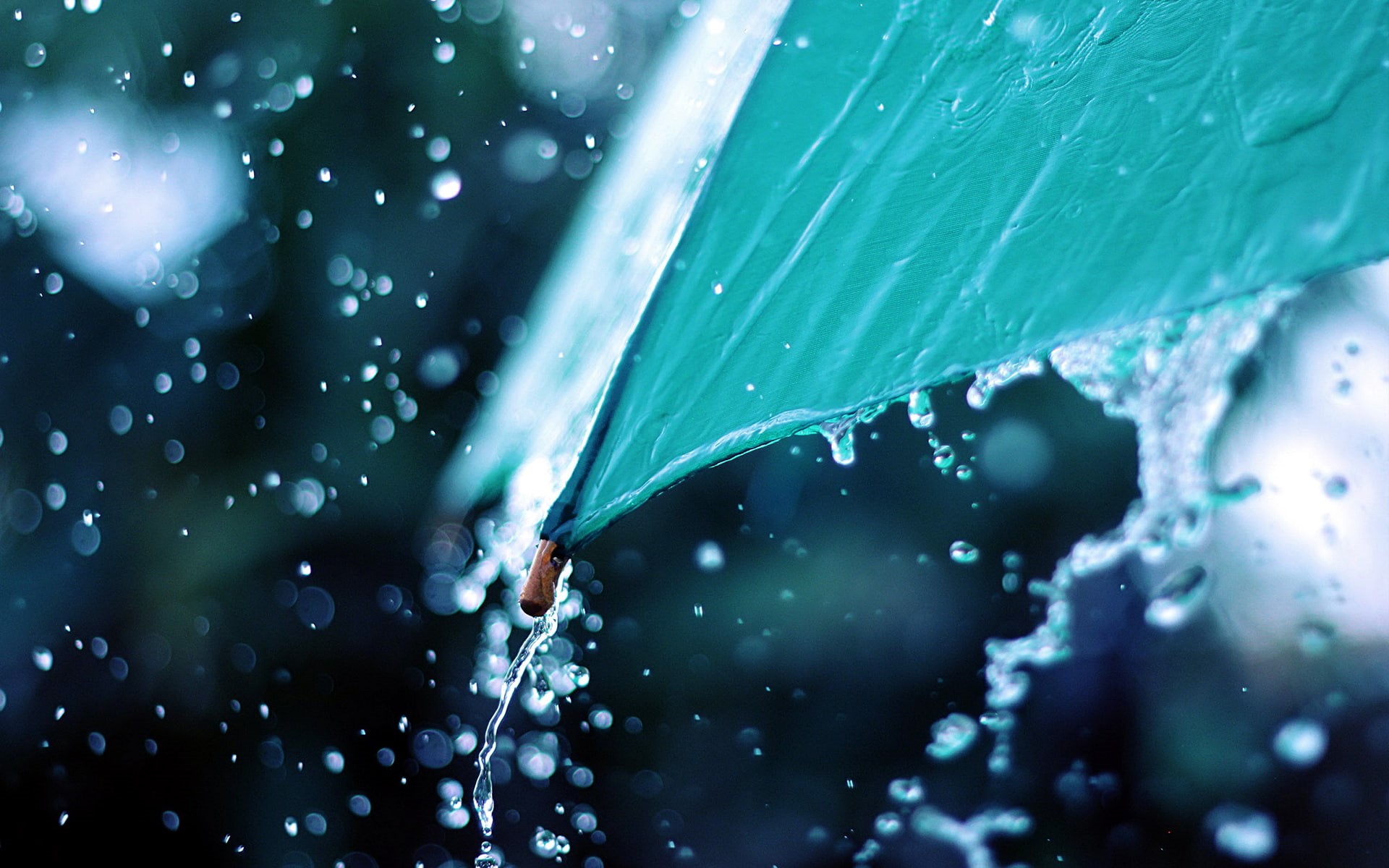 1080P, water, umbrella, nature, rain, macro, drops, hd, HD Wallpaper