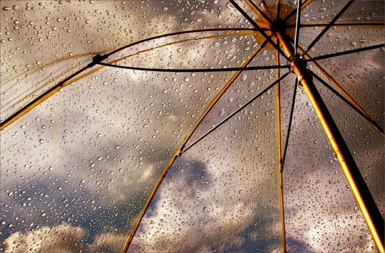 weather, backgrounds, nature, parasol, clear, glass - Material, umbrella, raindrop, window, security, drop, day, transparent, 720P, rainy season, protection, HD Wallpaper