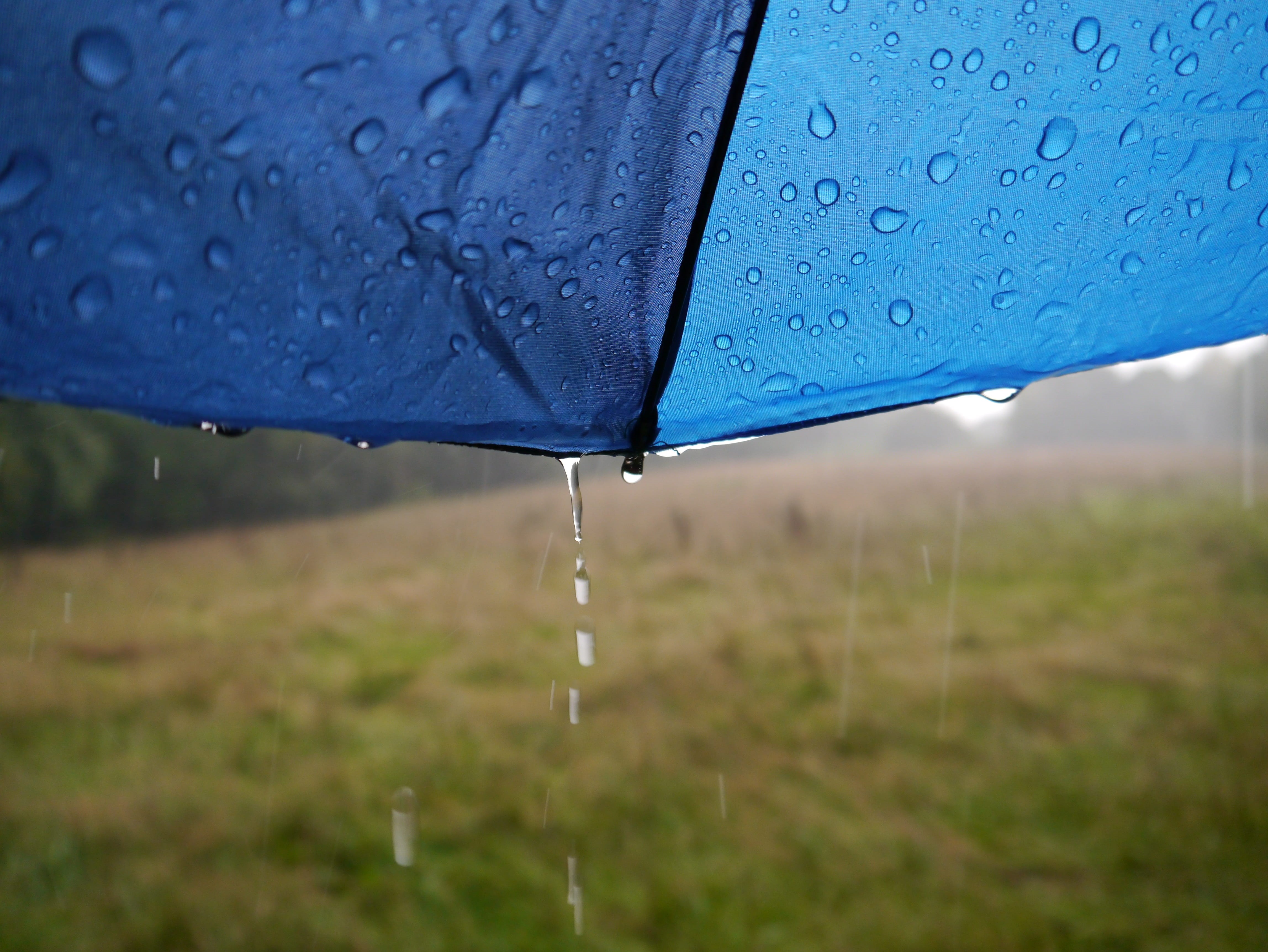 rainy season, drop, monsoon, purity, transparent, 4K, wet, water, variety, outdoors, close-up, no people, umbrella, weather, dew, focus on foreground, HD Wallpaper