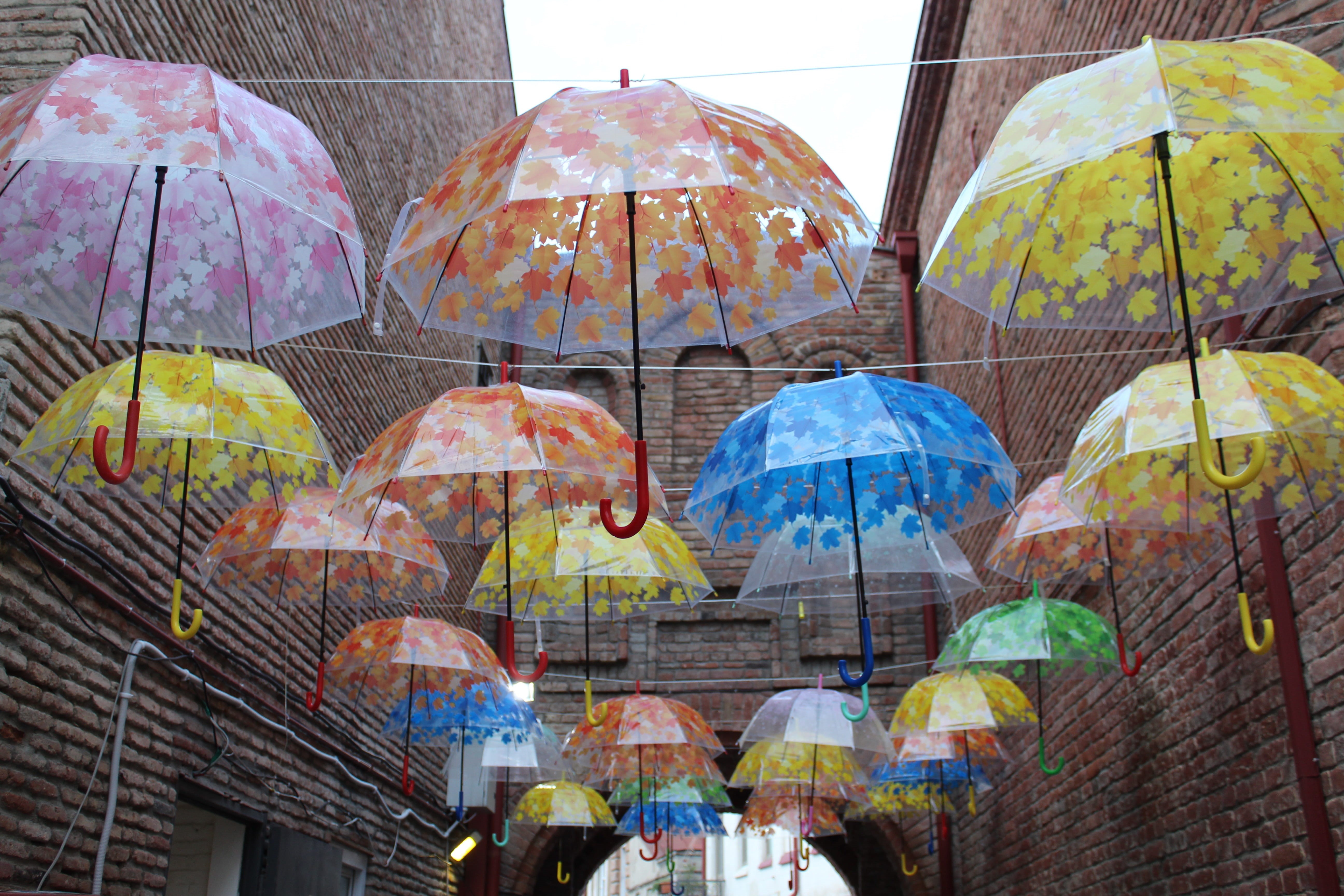 building exterior, protection, spirituality, architecture, built structure, colorful, decoration, 5K, rain, umbrella, nature, close-up, day, low angle view, HD Wallpaper
