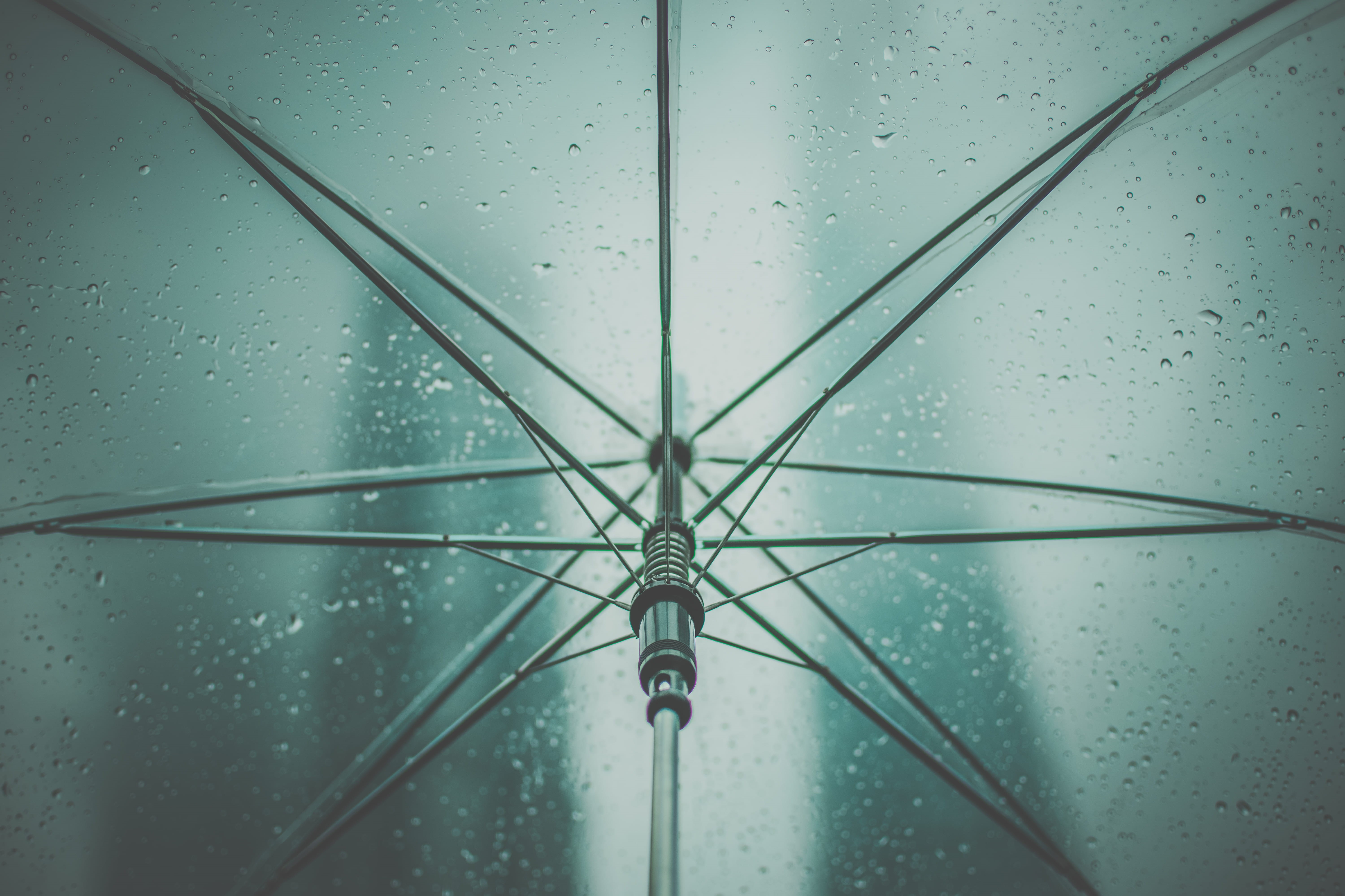 indoors, umbrella, view, clear, water, nature, backgrounds, glass - material, close-up, protection, drop, directly below, rain, no people, raindrop, wet, HD Wallpaper