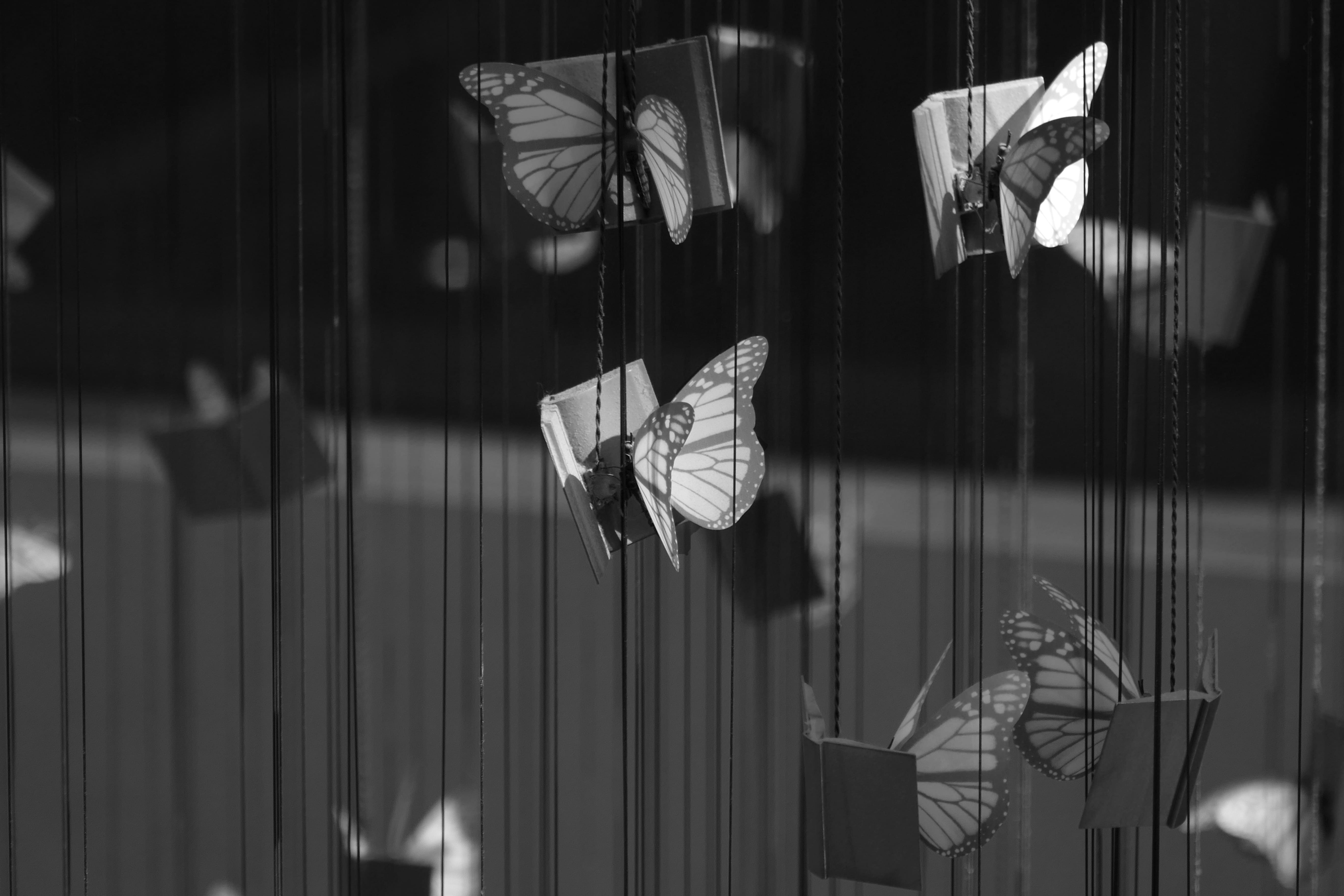 reflection, indoors, textile, united states, salt lake city public library, book, umbrella, mannequin, no people, glass - material, shopping, nature, transparent, HD Wallpaper