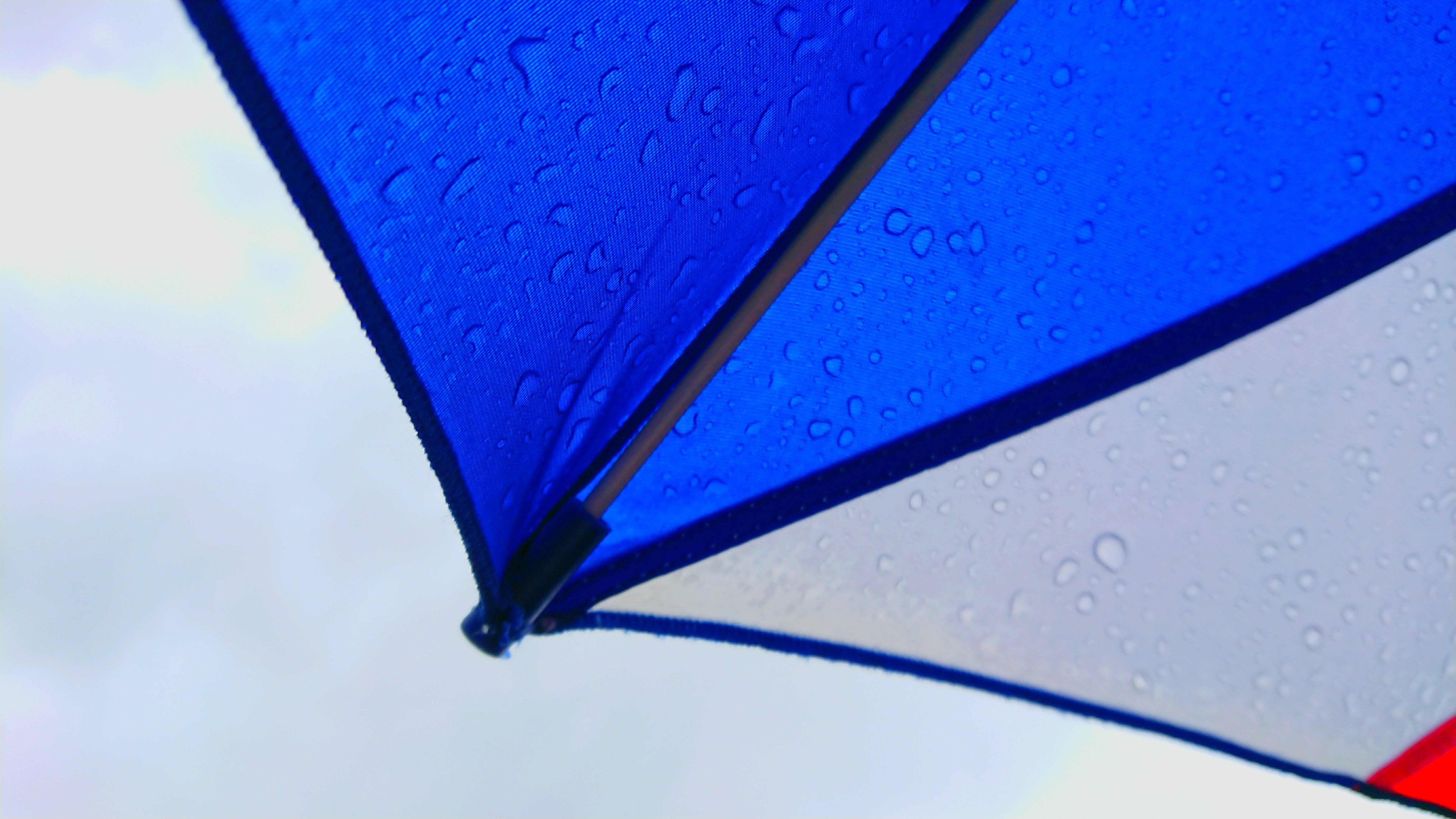 shizuku, outdoors, glass - material, 5K, rainy season, blue, protection, nature, umbrella, wet, transparent, close-up, no people, white, purity, colorful, HD Wallpaper