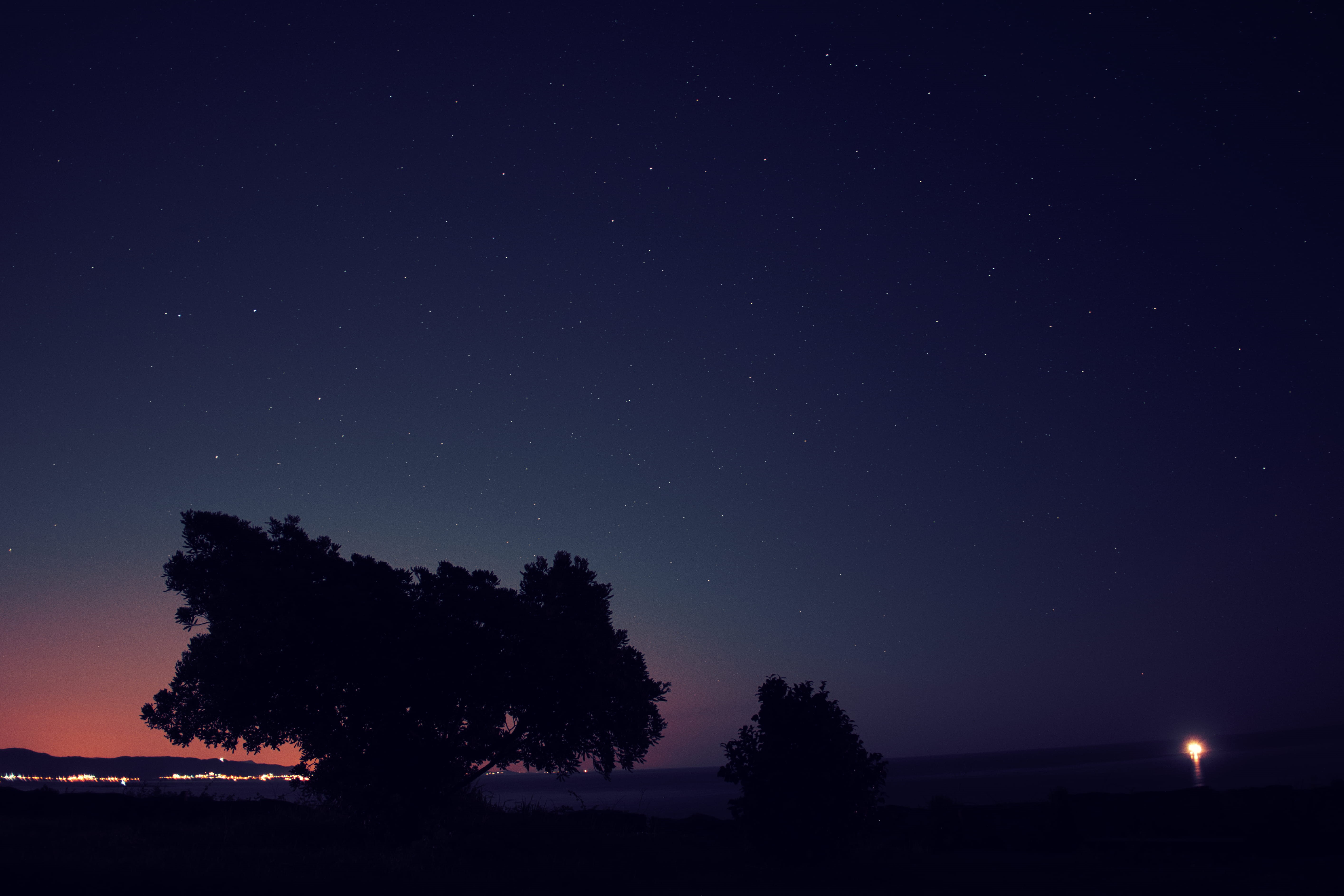 idyllic, tree, outdoors, outer space, astronomy, universe, tranquil scene, star - space, tranquility, copy space, starry sky, galaxy, long exposure, field, HD Wallpaper