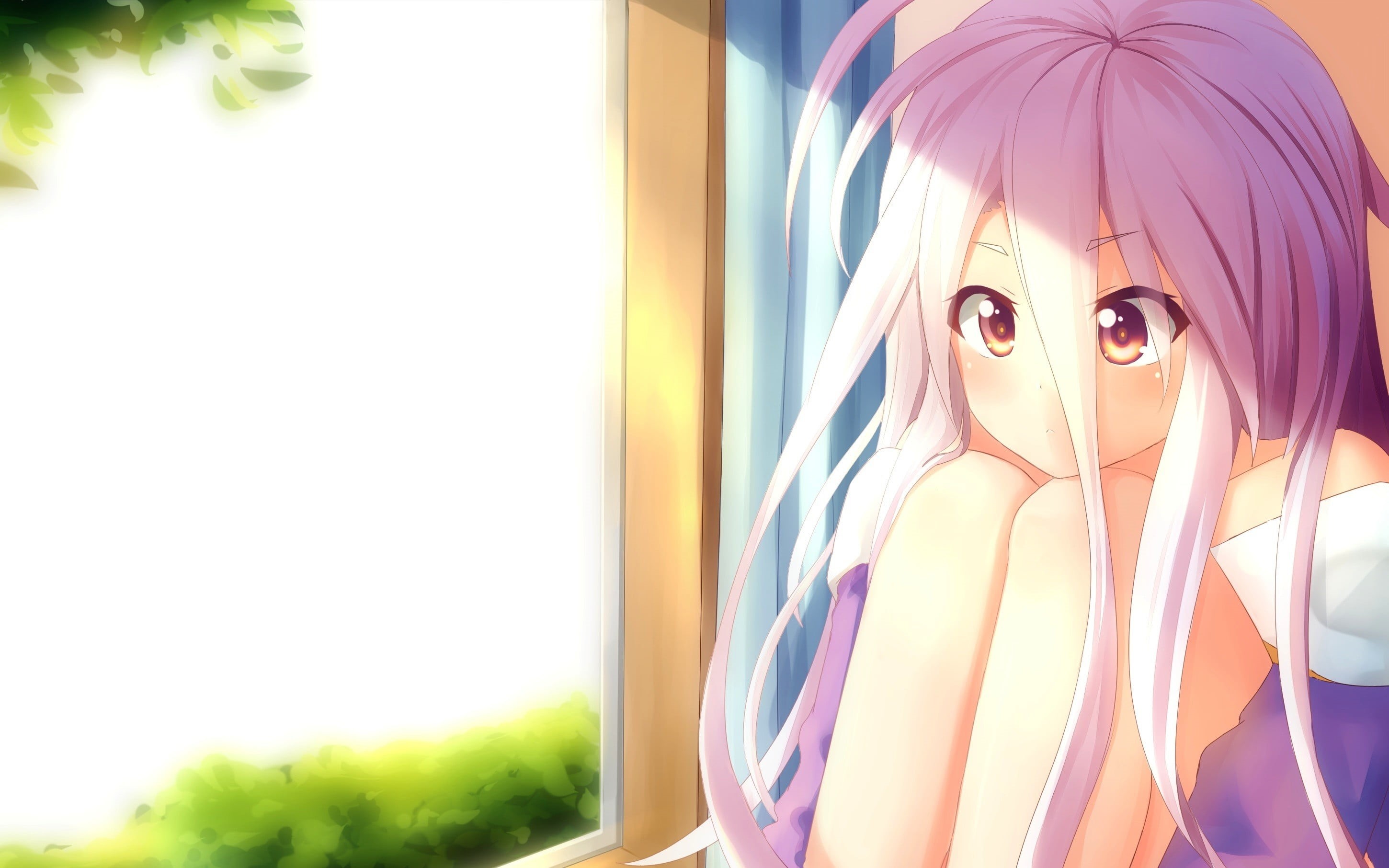human body part, window, anime girls, young adult, human representation, human face, portrait, anime, headshot, 2K, one person, women, day, close-up, Shiro (No Game No Life), HD Wallpaper