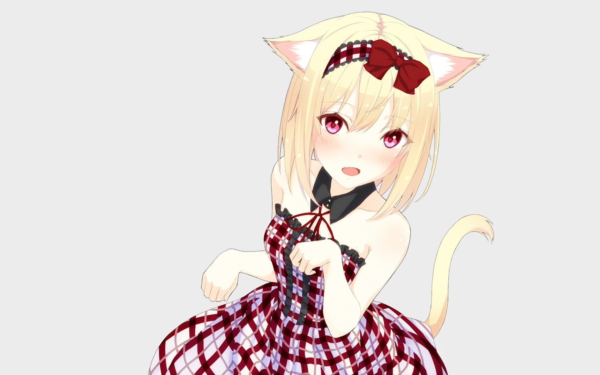one person, beauty, young women, adult, cut out, animal ears, white background, tail, neko ears, portrait, hairstyle, digital composite, anime girls, indoors, HD Wallpaper