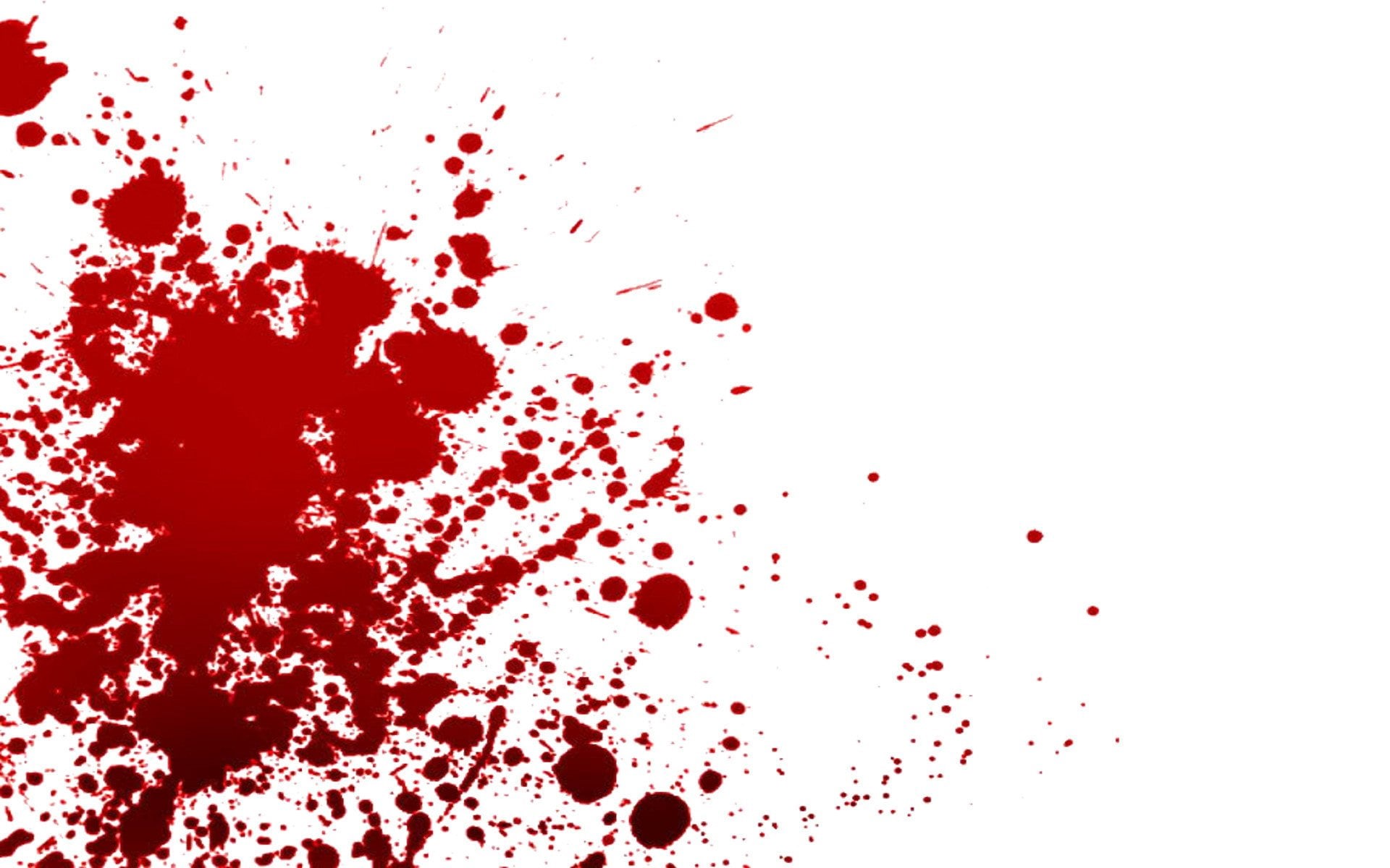 white background, studio shot, close-up, abstract, splashing, no people, indoors, ink, copy space, pattern, water, splattered, red, paint, still life, white color, HD Wallpaper