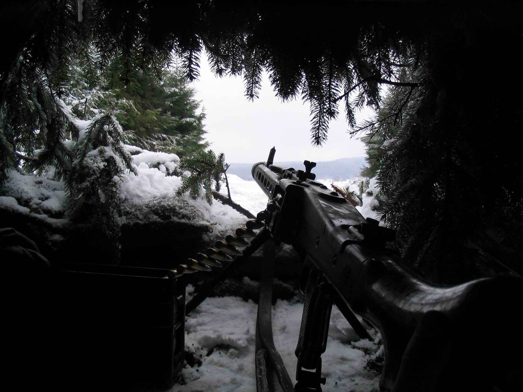 tree, cold temperature, submachine, black, animal wildlife, MG 42, animals in the wild, animal, animal themes, snow, World War II, day, nature, land, winter, HD Wallpaper