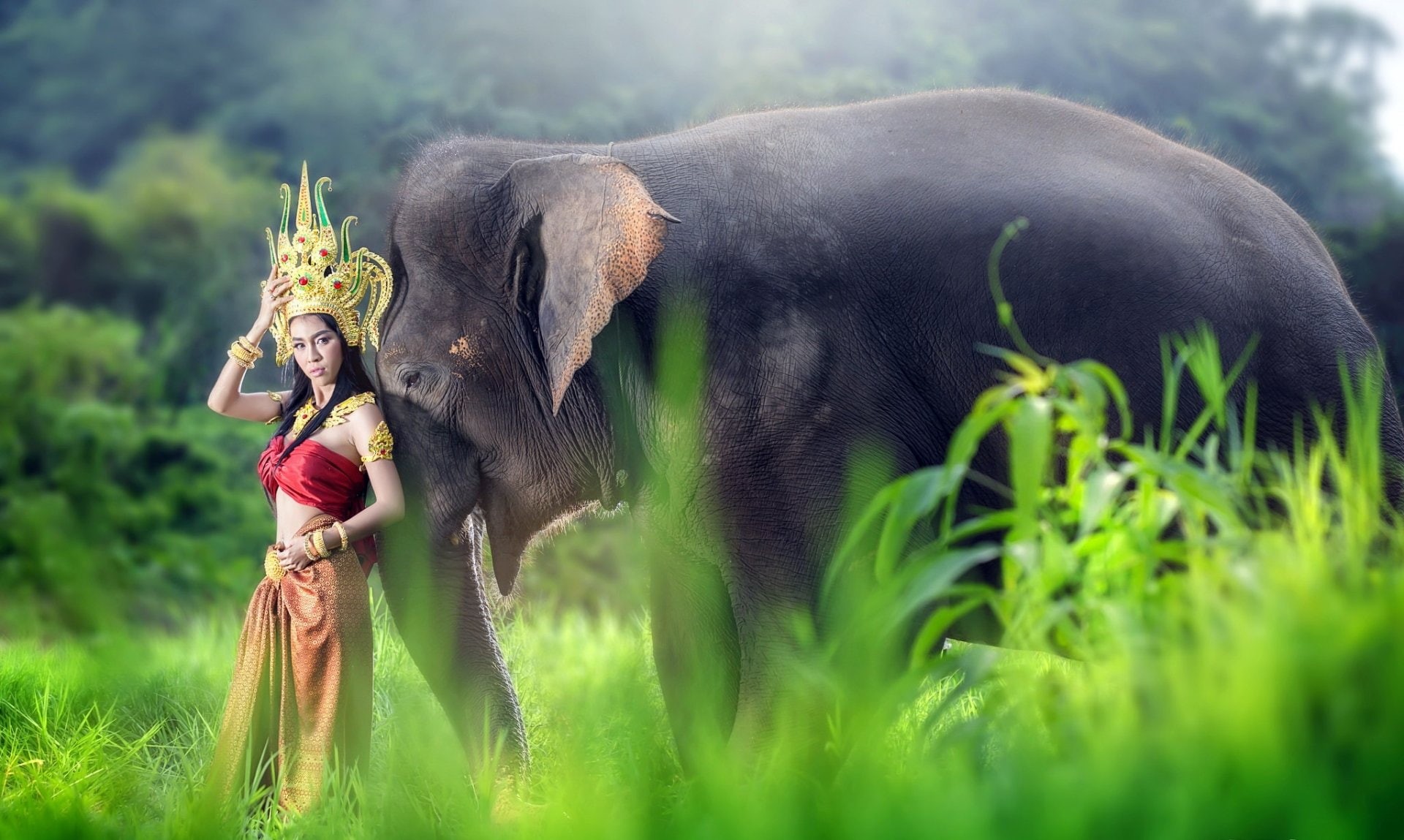 Traditional Costume, Brunette, Elephant, Asian, Model, Girl, 1080P, Women, Woman, Thai, HD Wallpaper