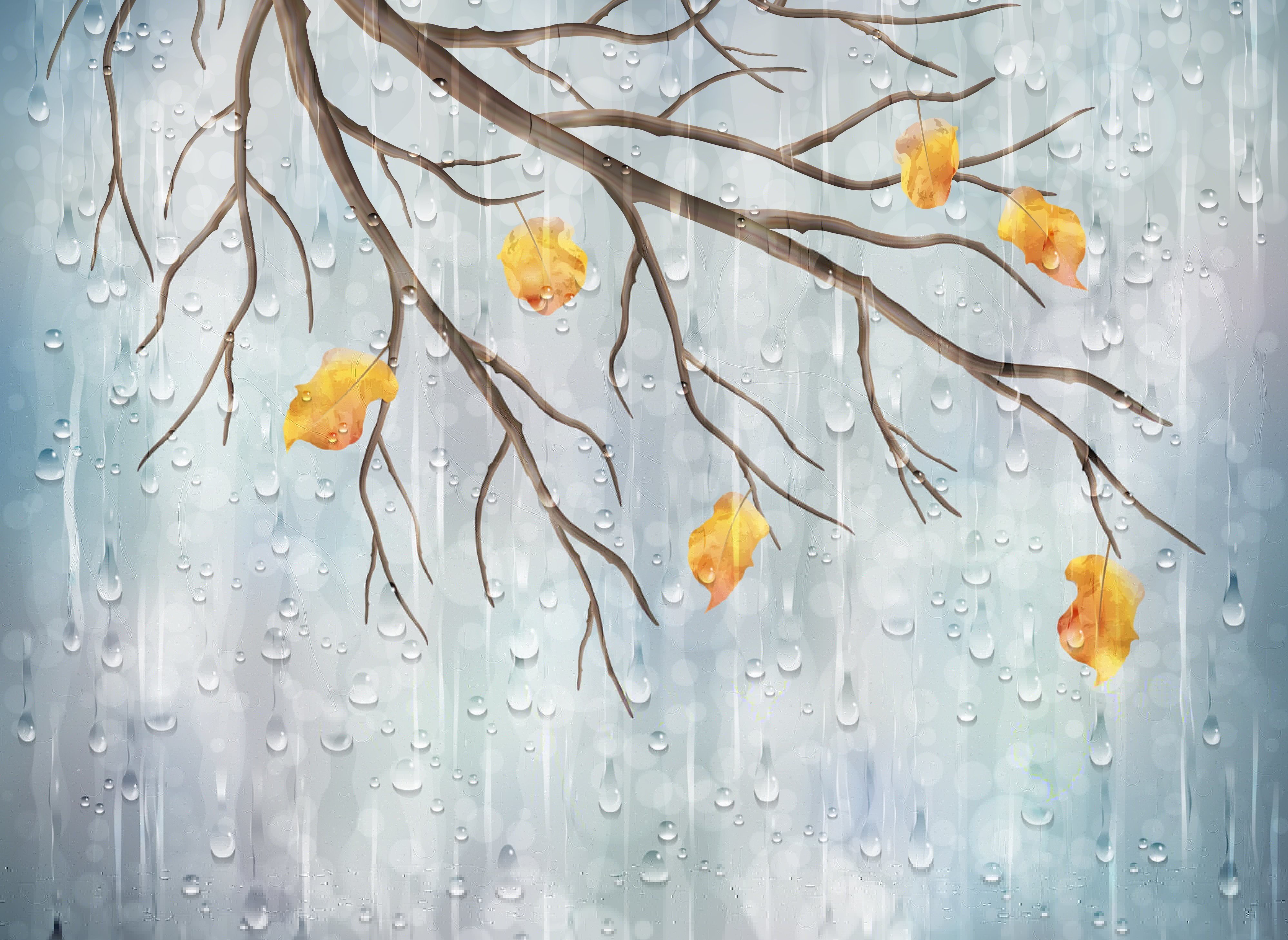 vulnerability, ice, weather, fragility, season, autumn, branches, tree, backgrounds, purity, falling, macro, window, leafed, plant, rain, brown, freshness, HD Wallpaper