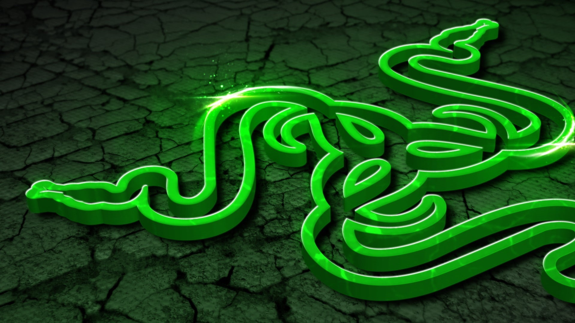 no people, still life, logo, plant, spiral, leaf, Razer Inc., connection, curled up, plastic, western script, nature, day, outdoors, pattern, high angle view, HD Wallpaper