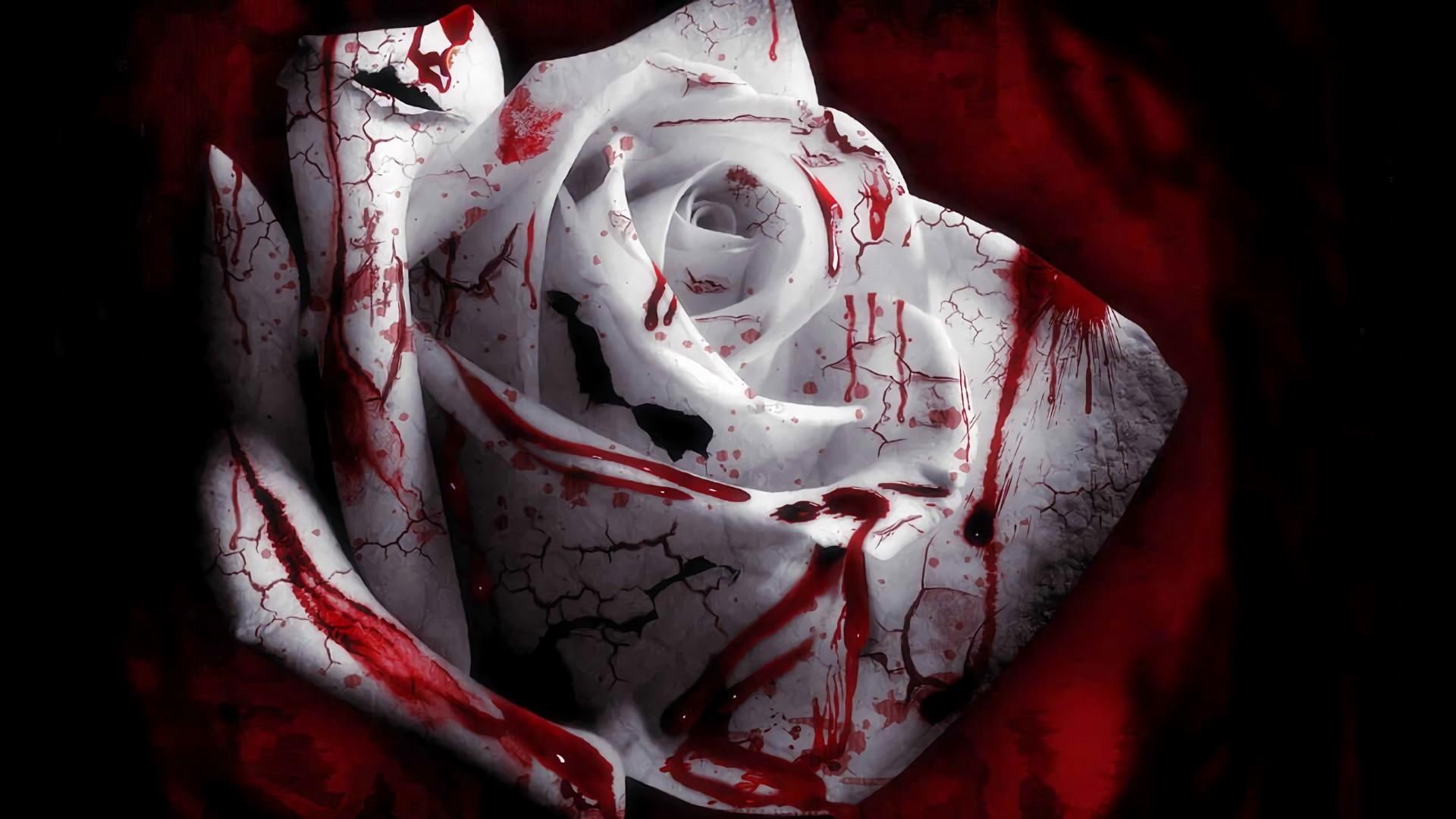 art, rose, blood, digital art, 1080P, white rose, bloody, digital, artistic, HD Wallpaper