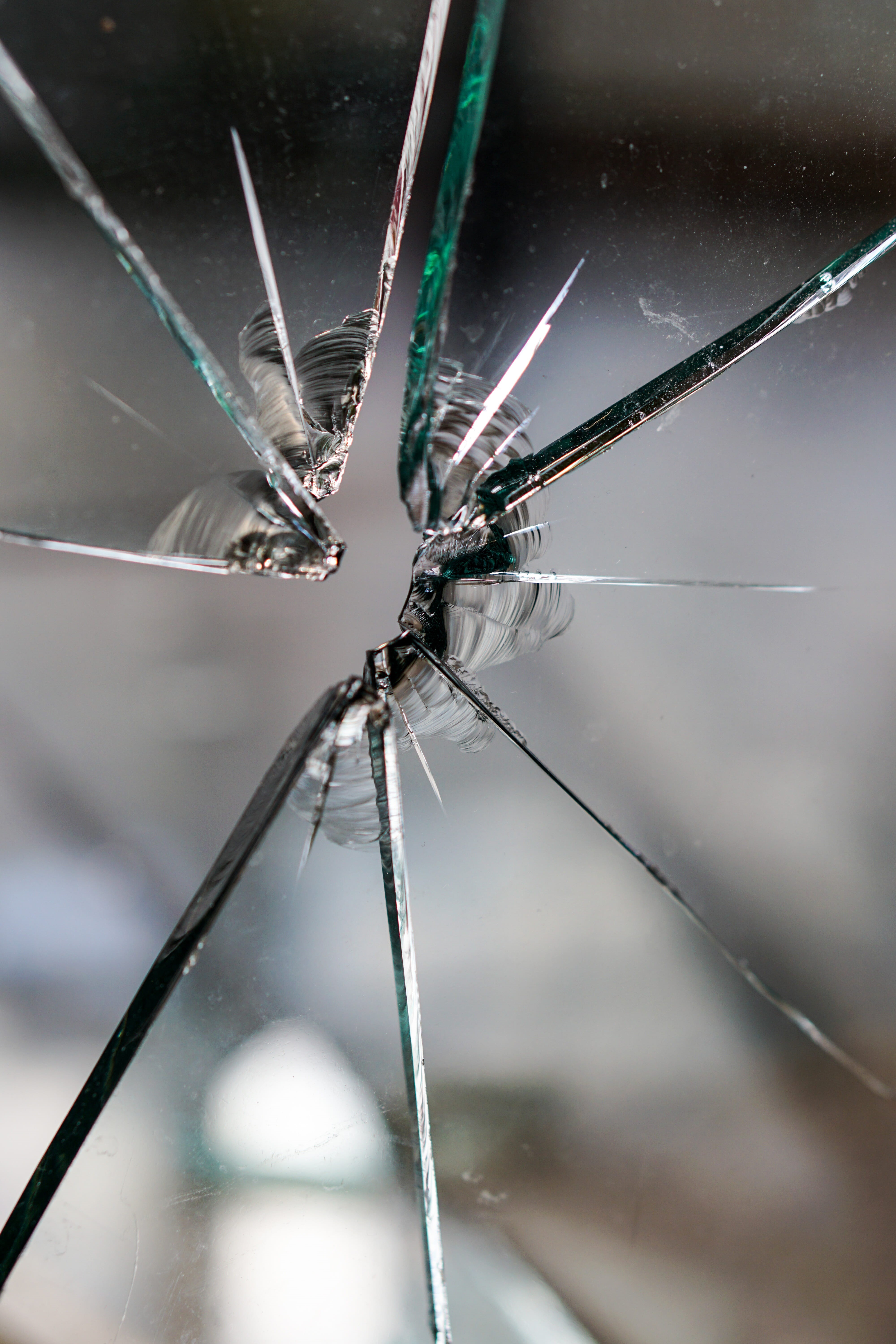 glass breakage, fragile, selective focus, crime, panel, animal, animal wildlife, no people, broken, disc, one animal, structure, metal, insect, day, focus on foreground, Phone HD Wallpaper