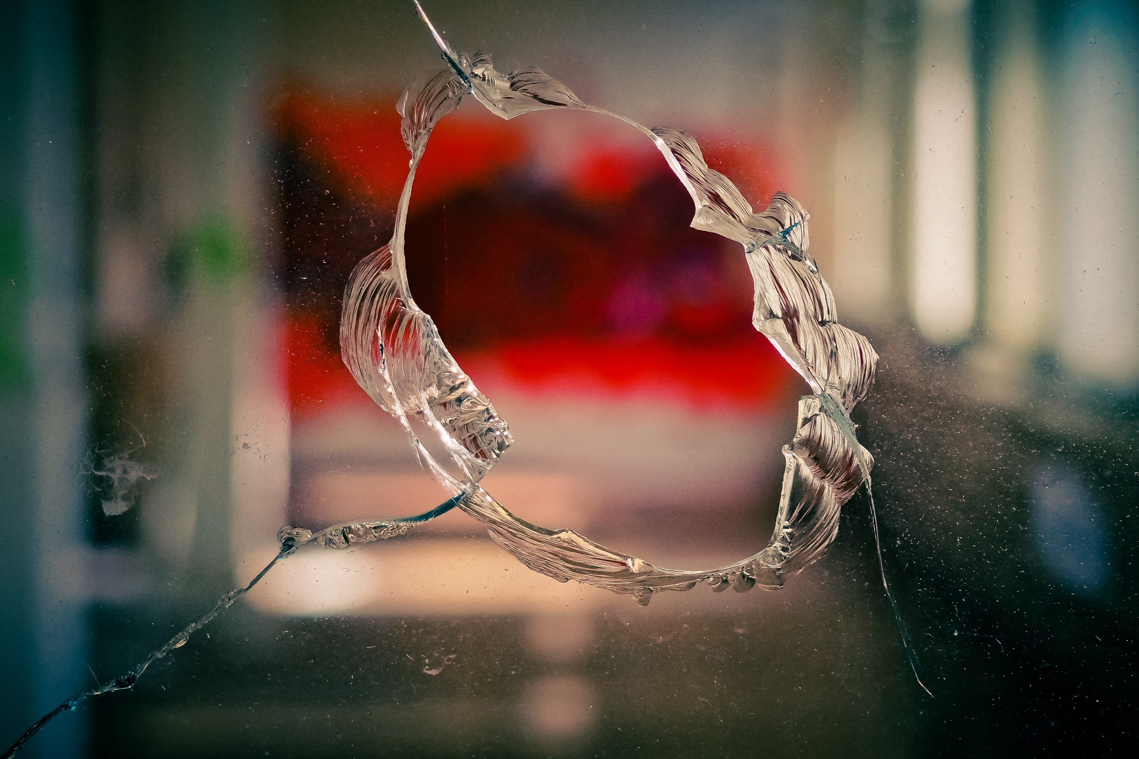 selective, drop, red, vulnerability, nature, broken, selective focus, intimated, clear, structure, fragility, day, circular, focus on foreground, focus, HD Wallpaper