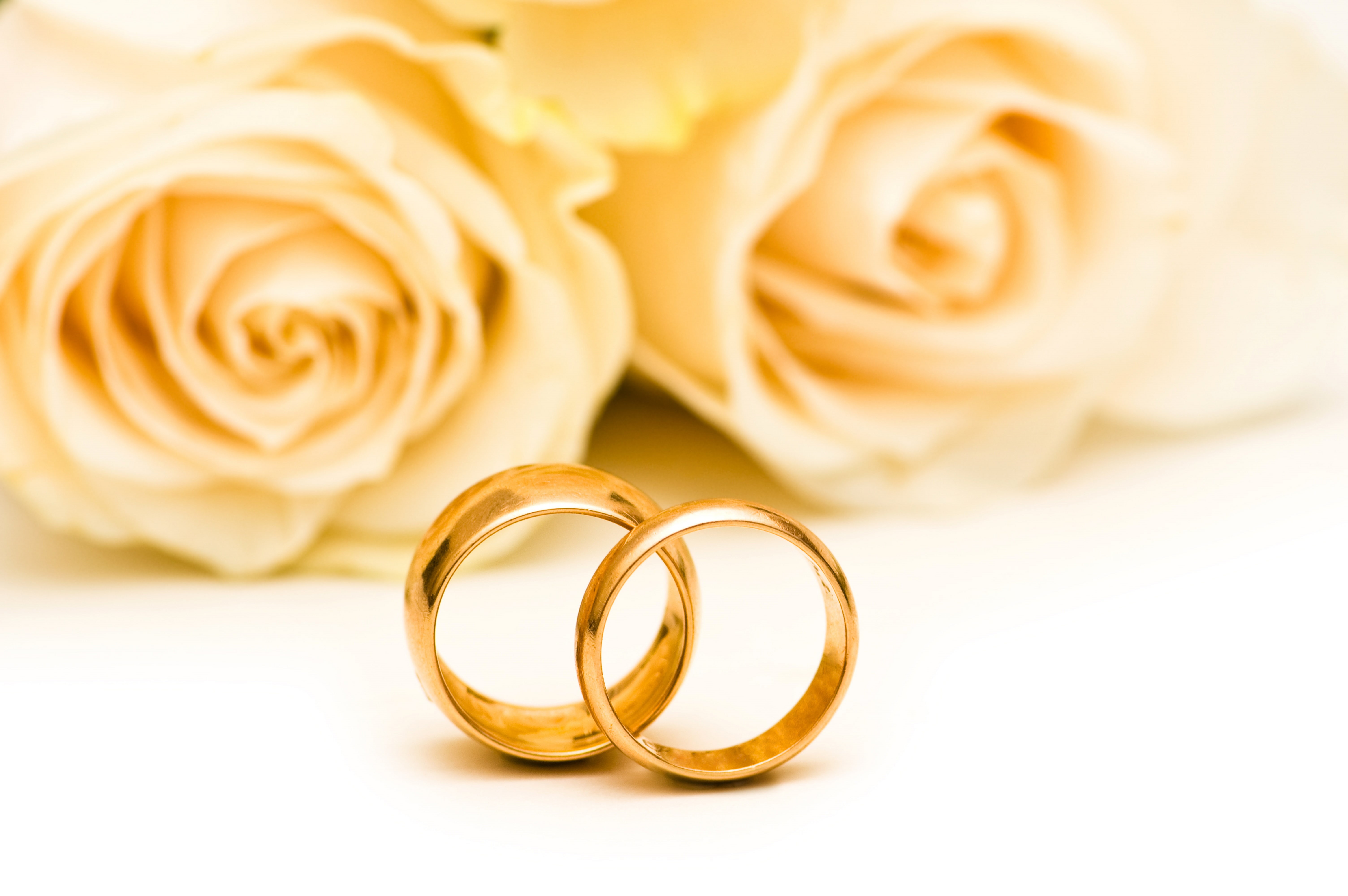 wedding ring, yellow, rose, rose - flower, married, positive emotion, ring, emotion, flower, colored, event, flowers, roses, gold colored, engagement rings, HD Wallpaper