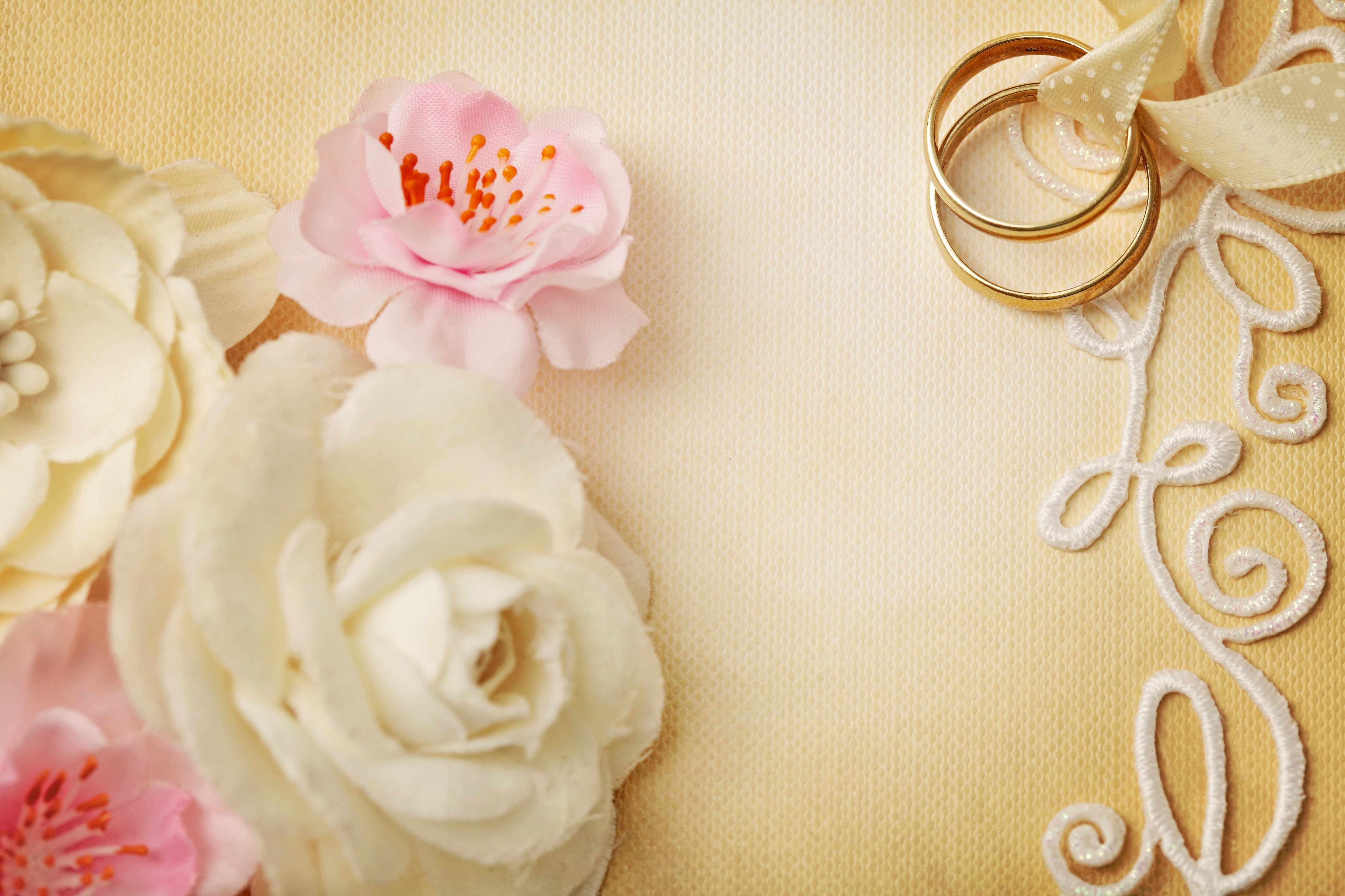 petal, colored, softness, symbol, pink Color, rings, elegance, flower Head, celebration, no People, beauty in nature, romance, wedding, indoors, rose - Flower, HD Wallpaper