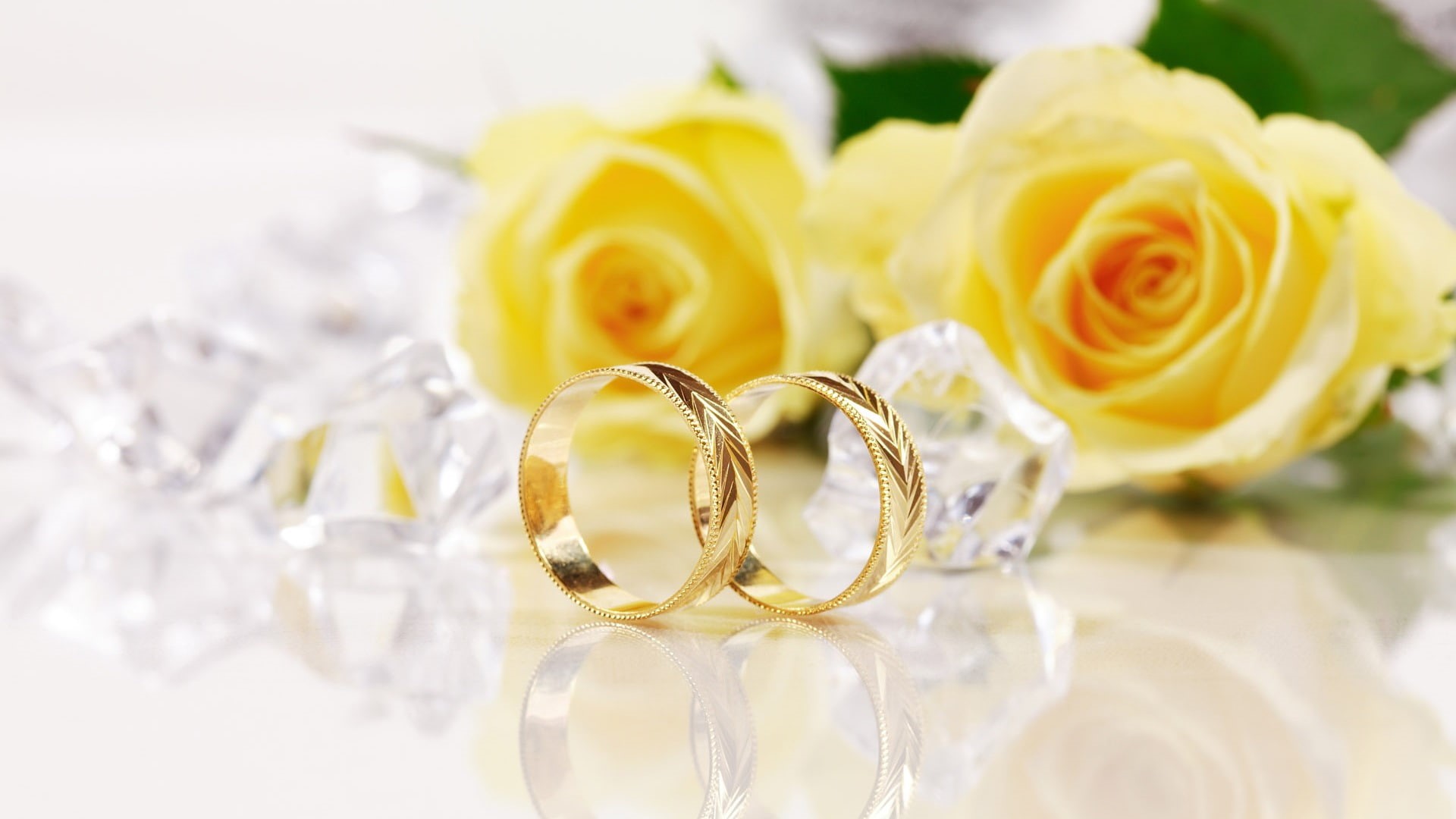 depth, 1080P, gold, ring, field, flowers, wedding, photography, depth of field, HD Wallpaper