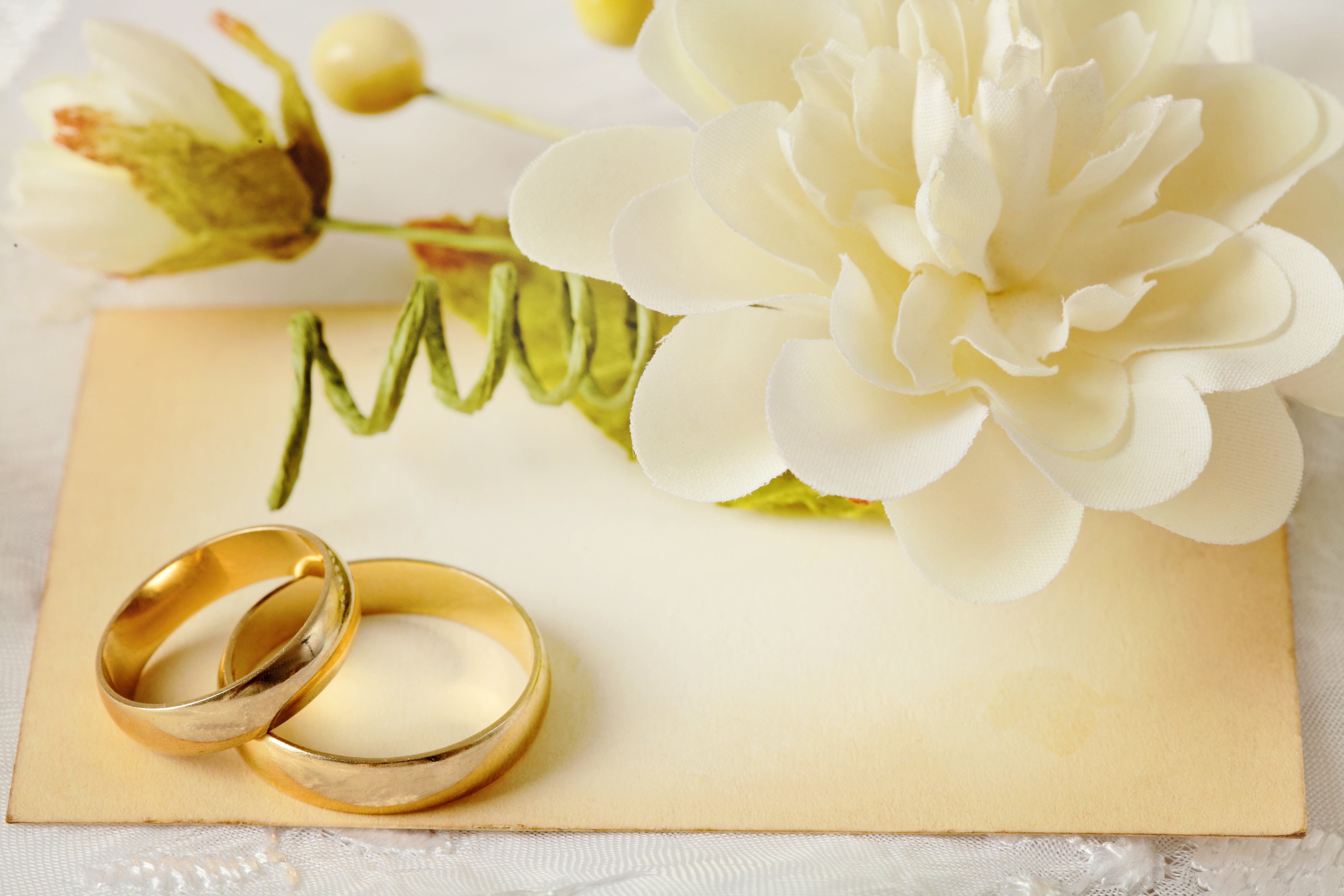 gift, white, 5K, luxury, wedding, still life, flowering plant, positive emotion, jewelry, celebration, ribbon, rings, near, decoration, illustration, petaled, HD Wallpaper