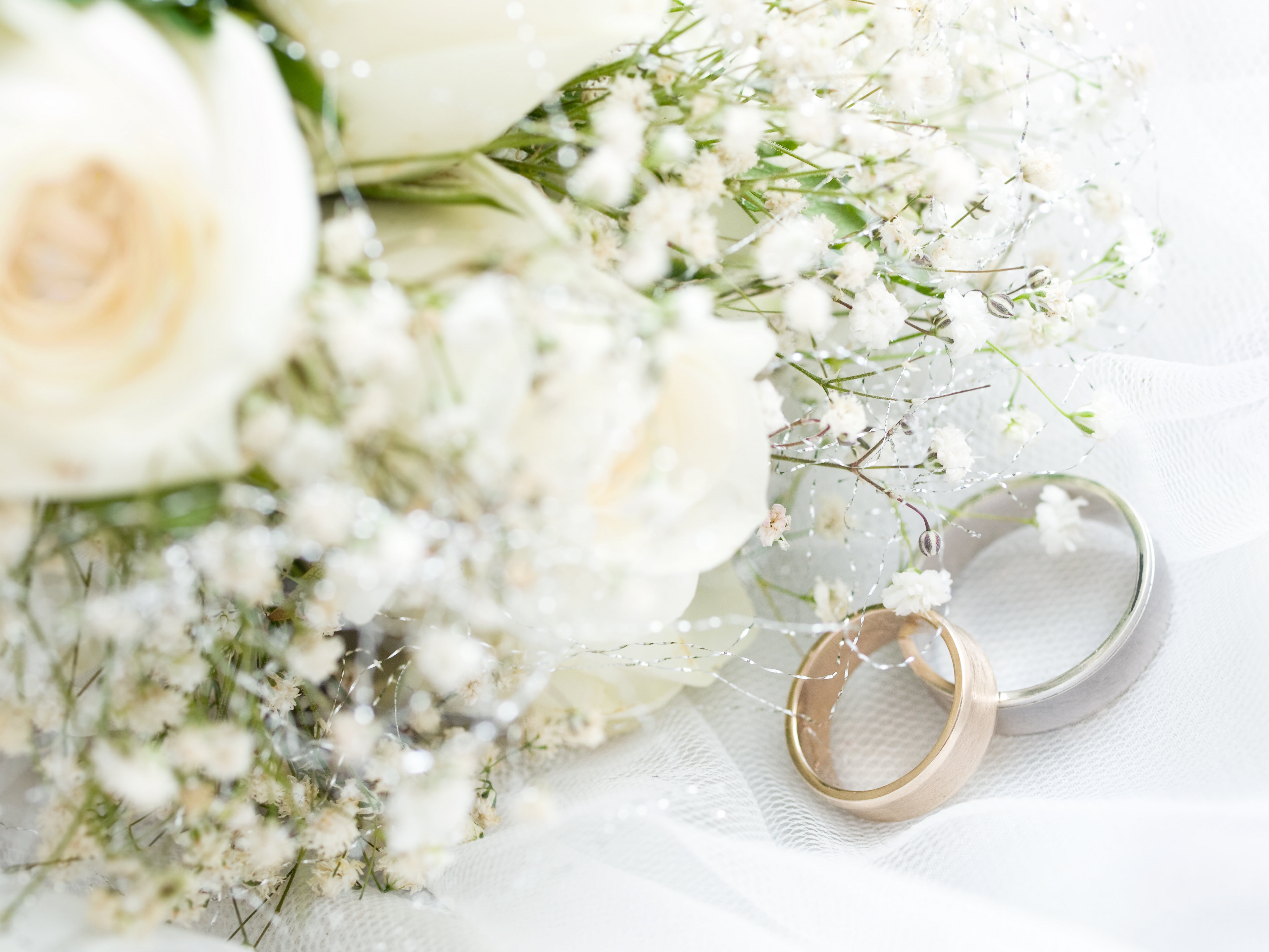 petal, wedding Ring, plant, silver, beauty, still life, backgrounds, flower arrangement, flowers, flowering plant, wedding Ceremony, 5K, engagement Ring, HD Wallpaper