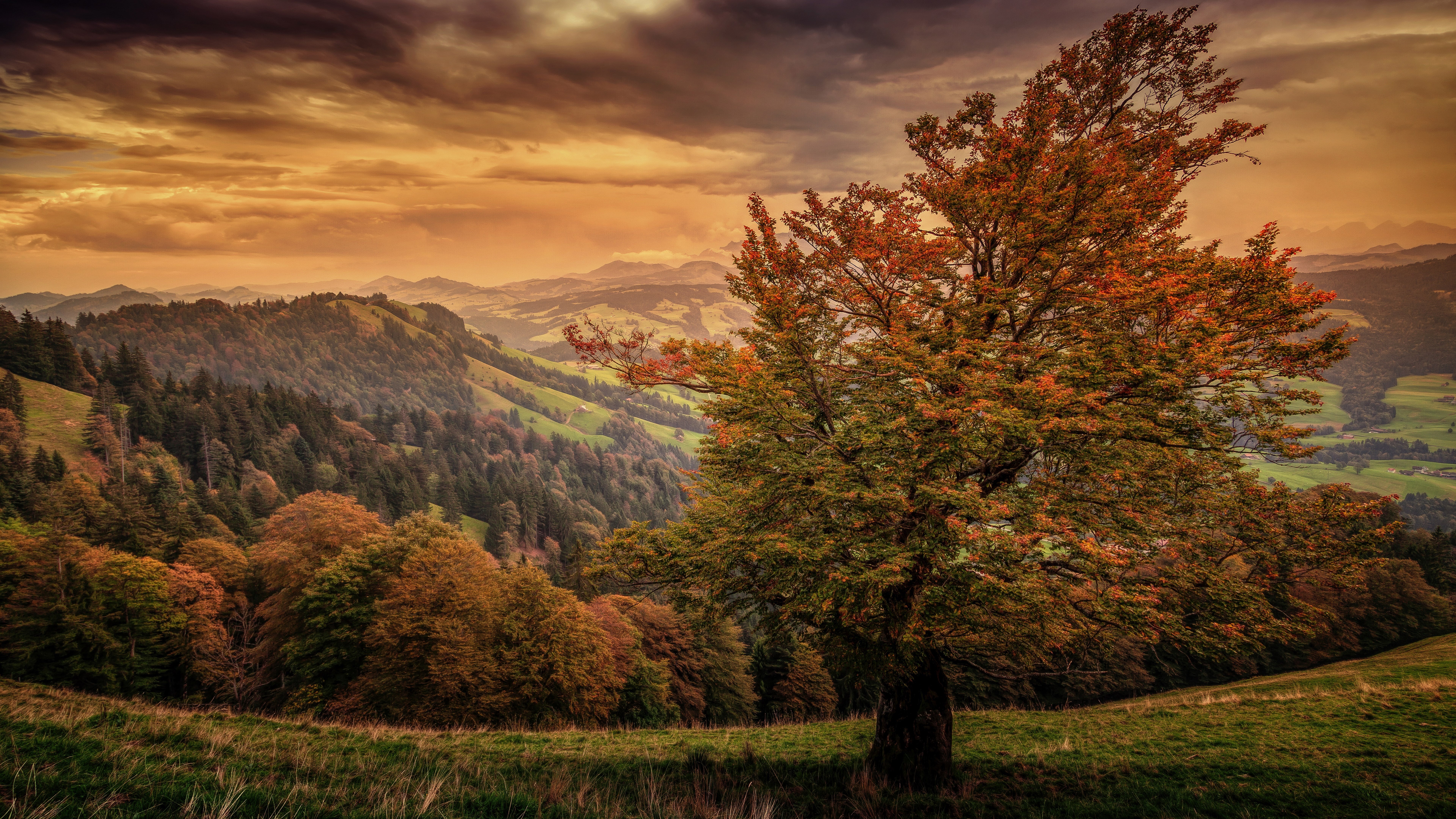 8K, nature full size desktop 7680x4320, HD Wallpaper