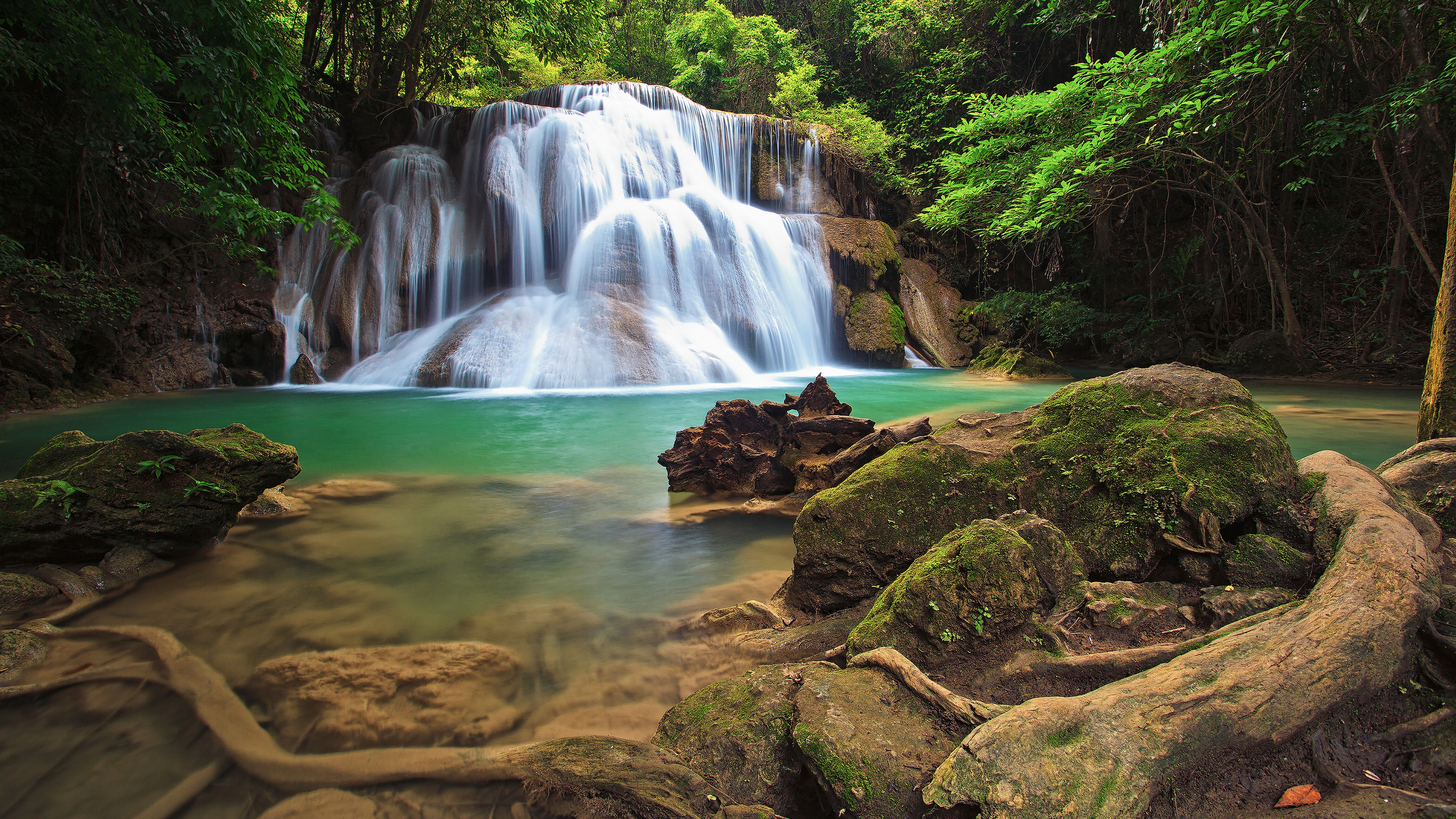 8K, nature backgrounds images 7680x4320, HD Wallpaper