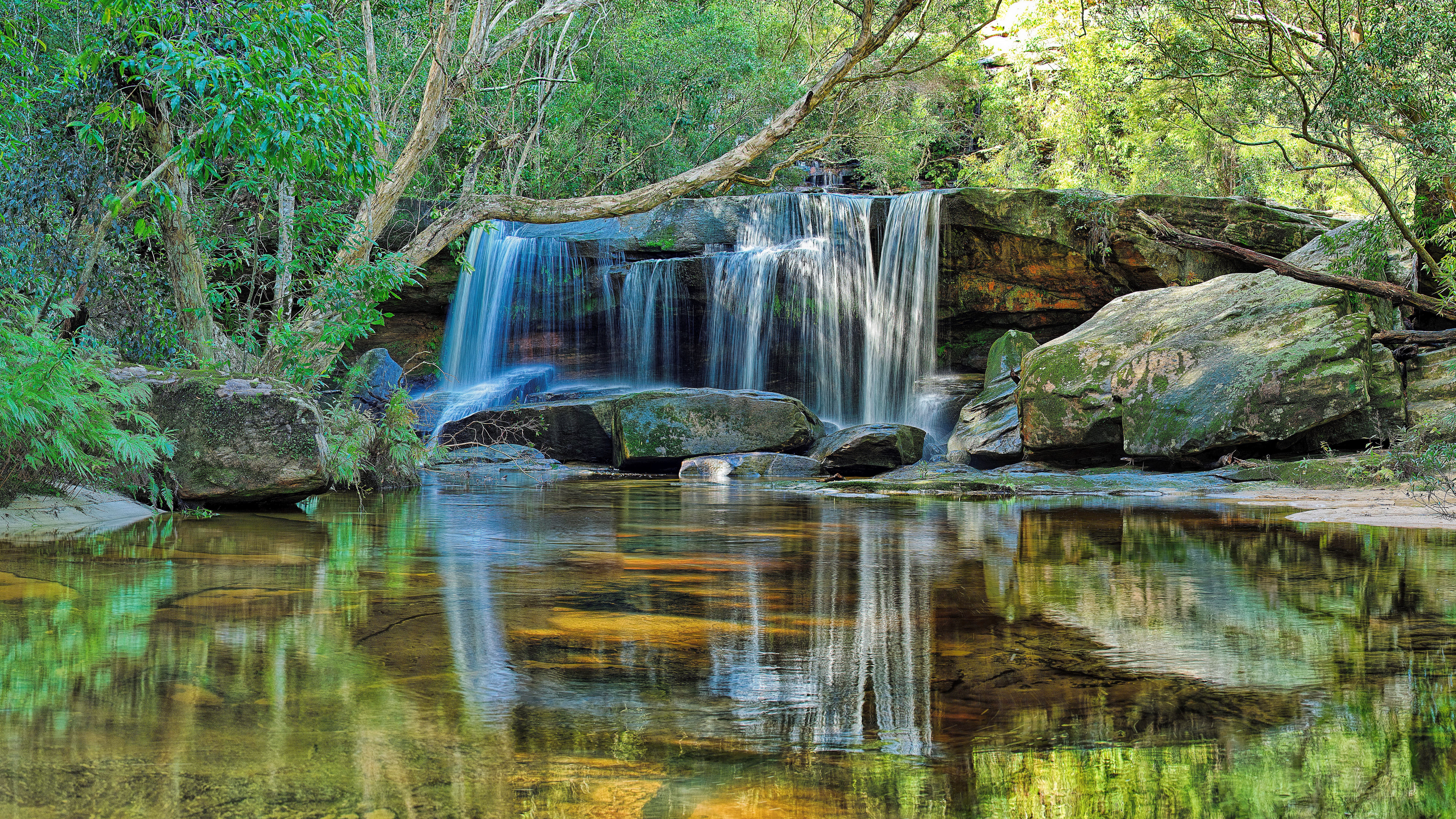 8K, nature backgrounds images 7680x4320, HD Wallpaper