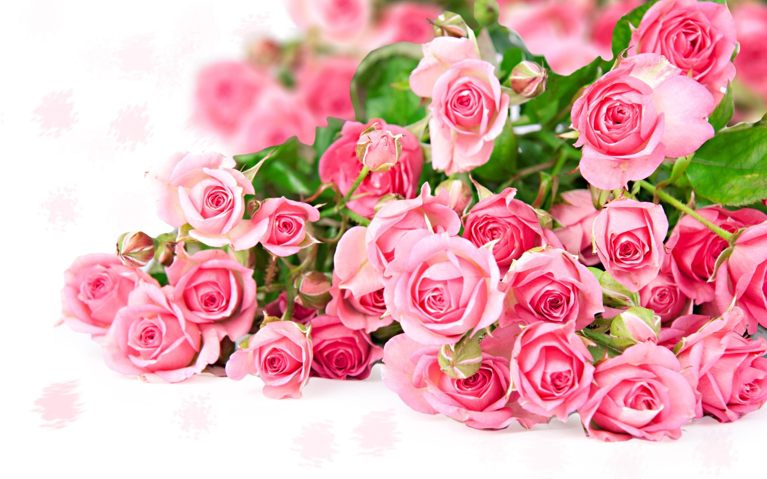 2K, roses, Flower, Color, Romantic, Rose, Bouquet, Pink, HD Wallpaper
