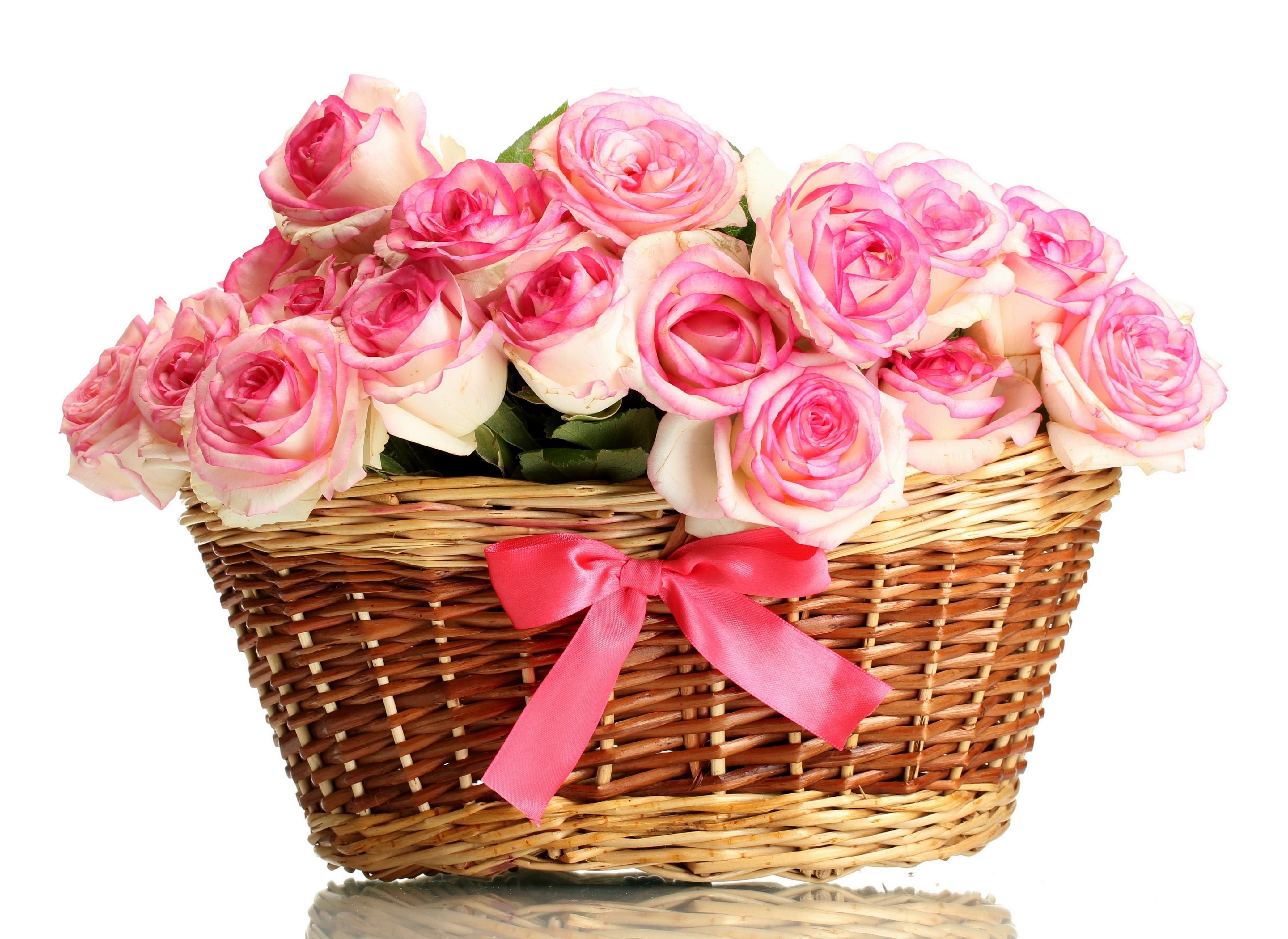 plant, flowering plant, isolated, freshness, beauty in nature, backgrounds, wedding, bouquet, rose, romance, container, gift, multi Colored, indoors, cut out, HD Wallpaper