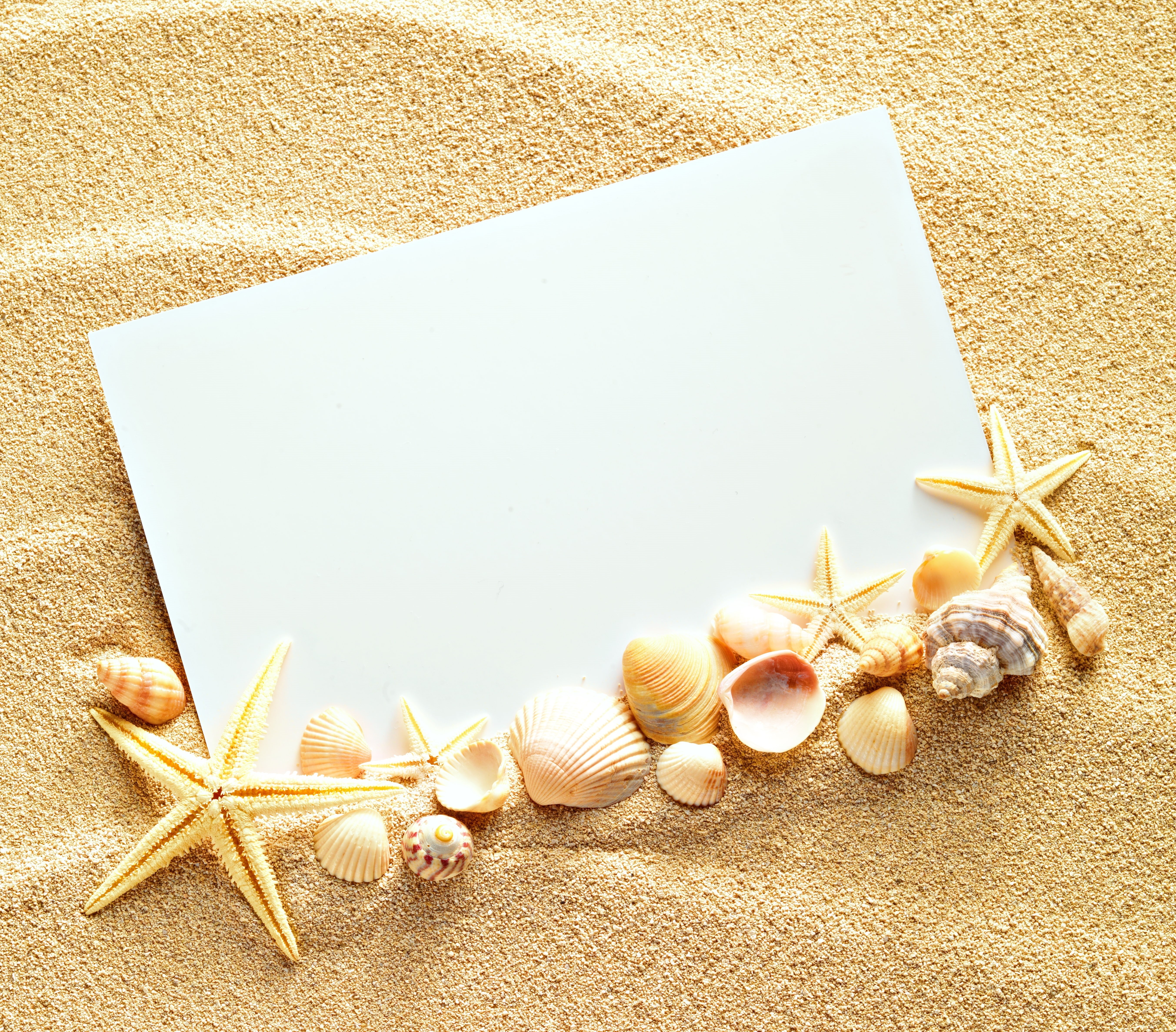 studio shot, coastline, copy Space, nature, star Shape, holiday, summer, textured, land, sea, travel, blank, single Object, white color, indoors, relaxation, HD Wallpaper