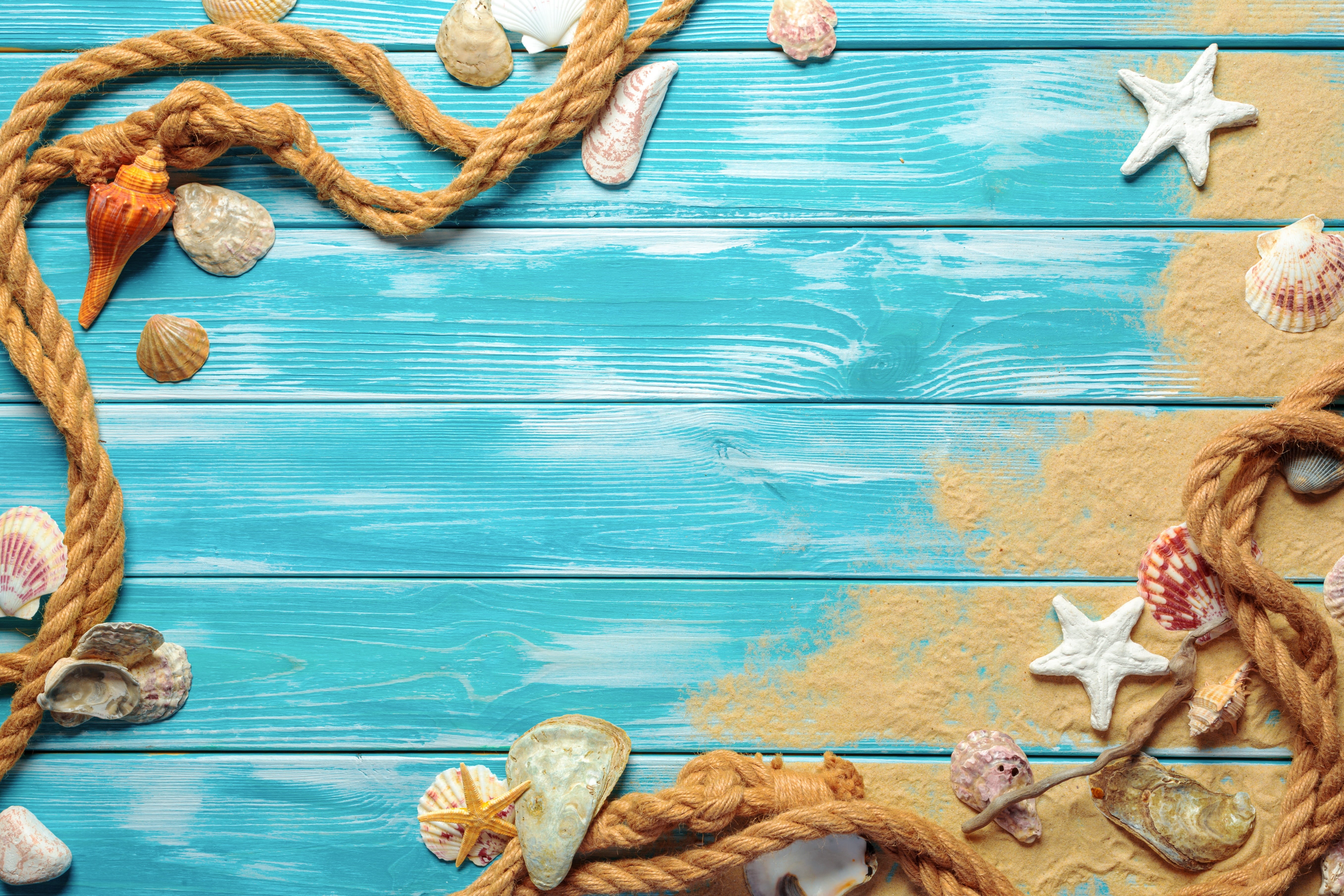 wood, marine, beach, starfish, 5K, sand, seashells, still life, shell, HD Wallpaper