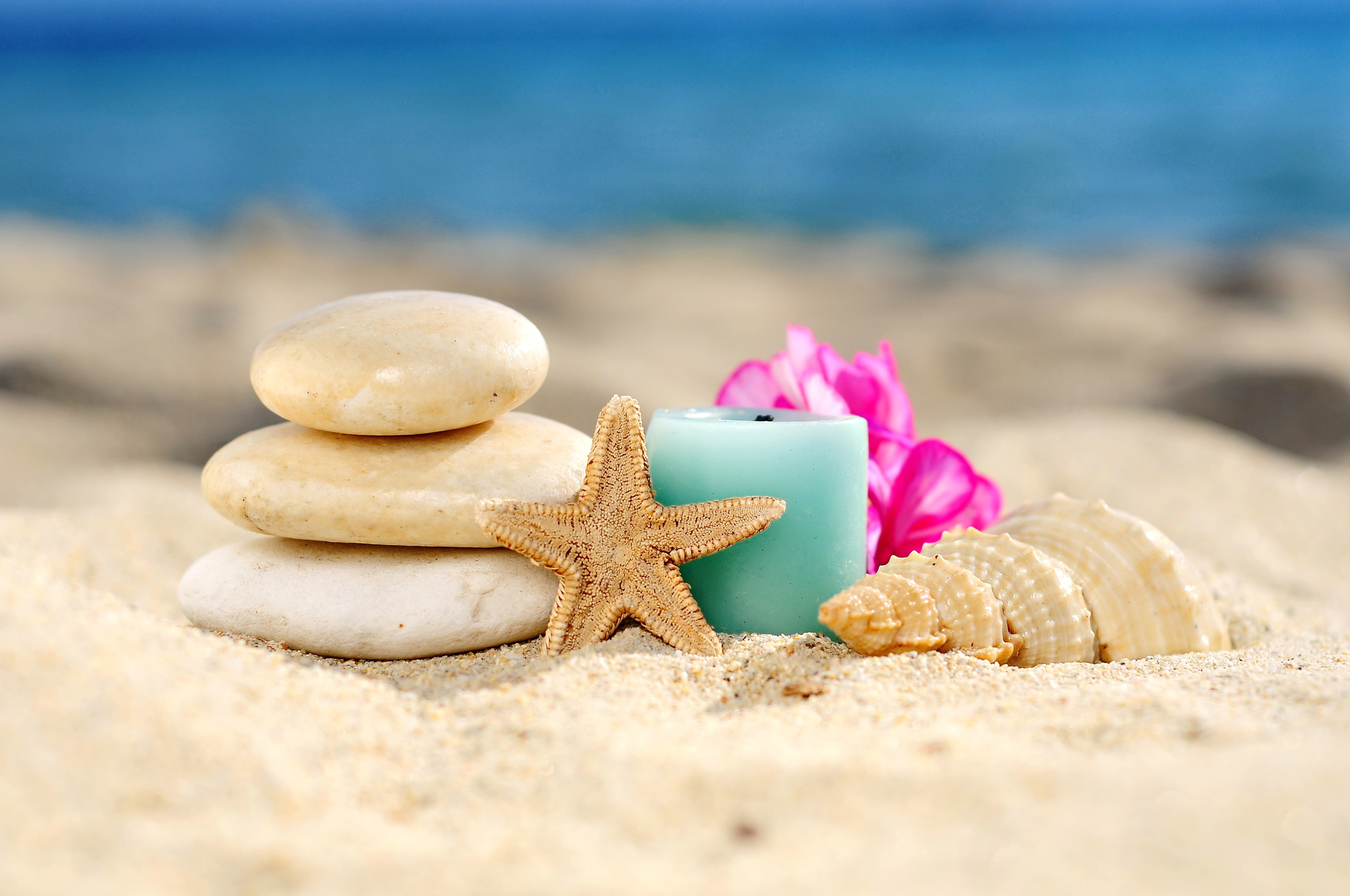 coastline, stone - Object, tranquil Scene, beach, starfish, votive, close-up, marine, holiday, selective focus, animal wildlife, tropical Climate, summer, HD Wallpaper