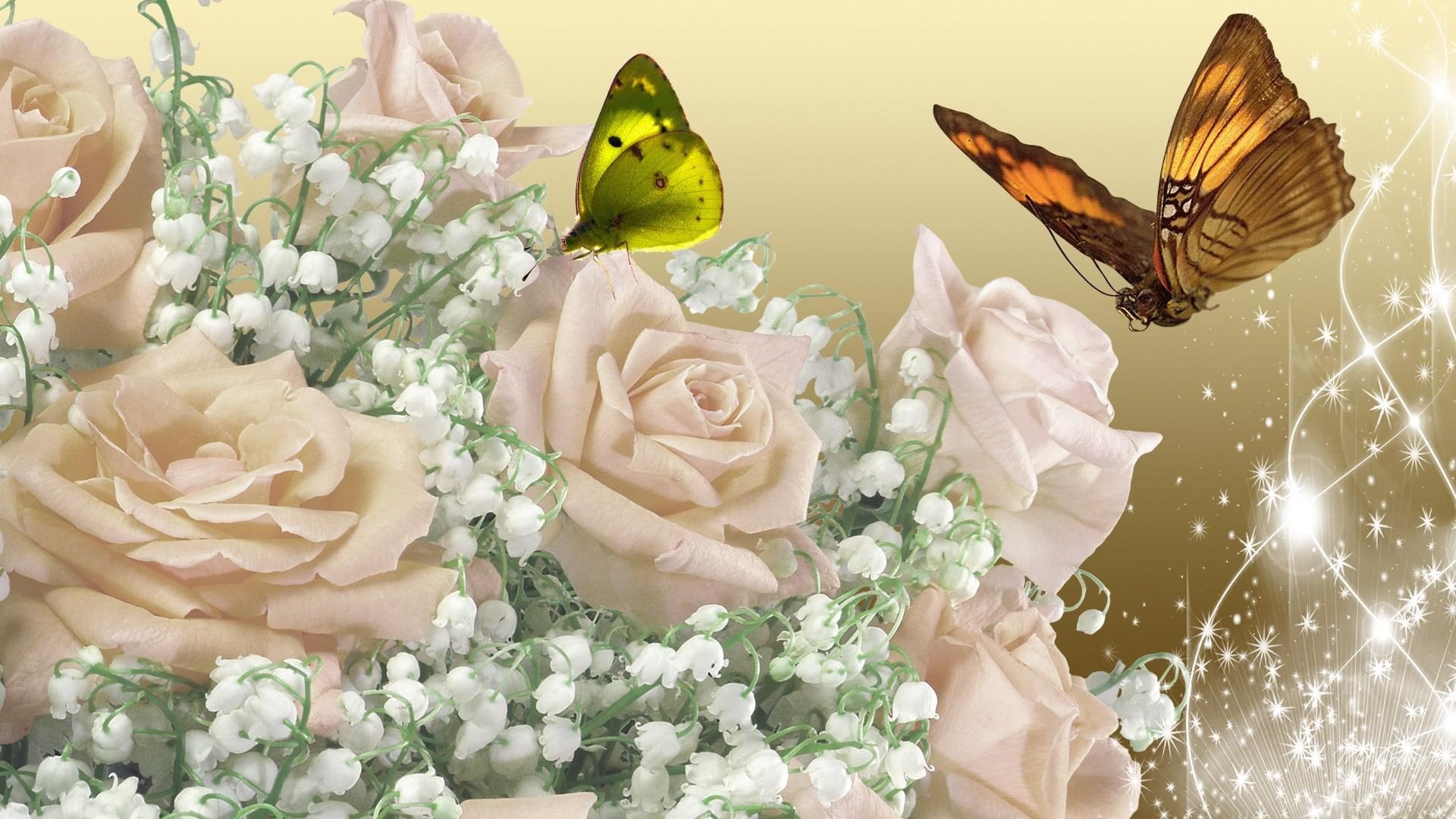 summer, butterflies, 3d and, romantic, roses, glow, lily of the valley, shine, sparkles, stars, flowers, 1080P, apricot, HD Wallpaper