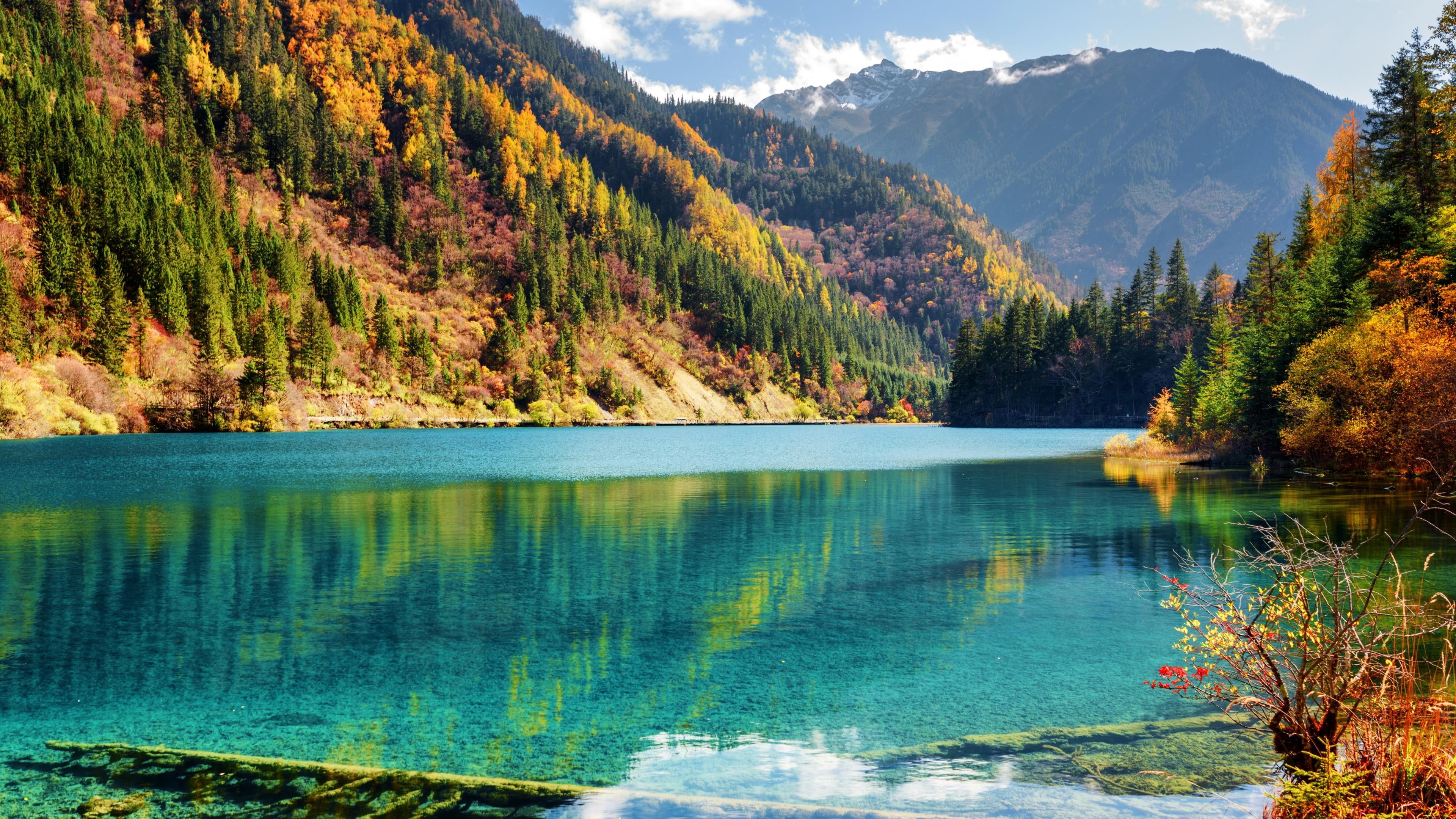 sichuan, asia, growth, nature reserve, mountain range, nature, turquoise colored, plant, tree, min shan mountain range, forest, jiuzhaigou, jiuzhaigou nature reserve, HD Wallpaper