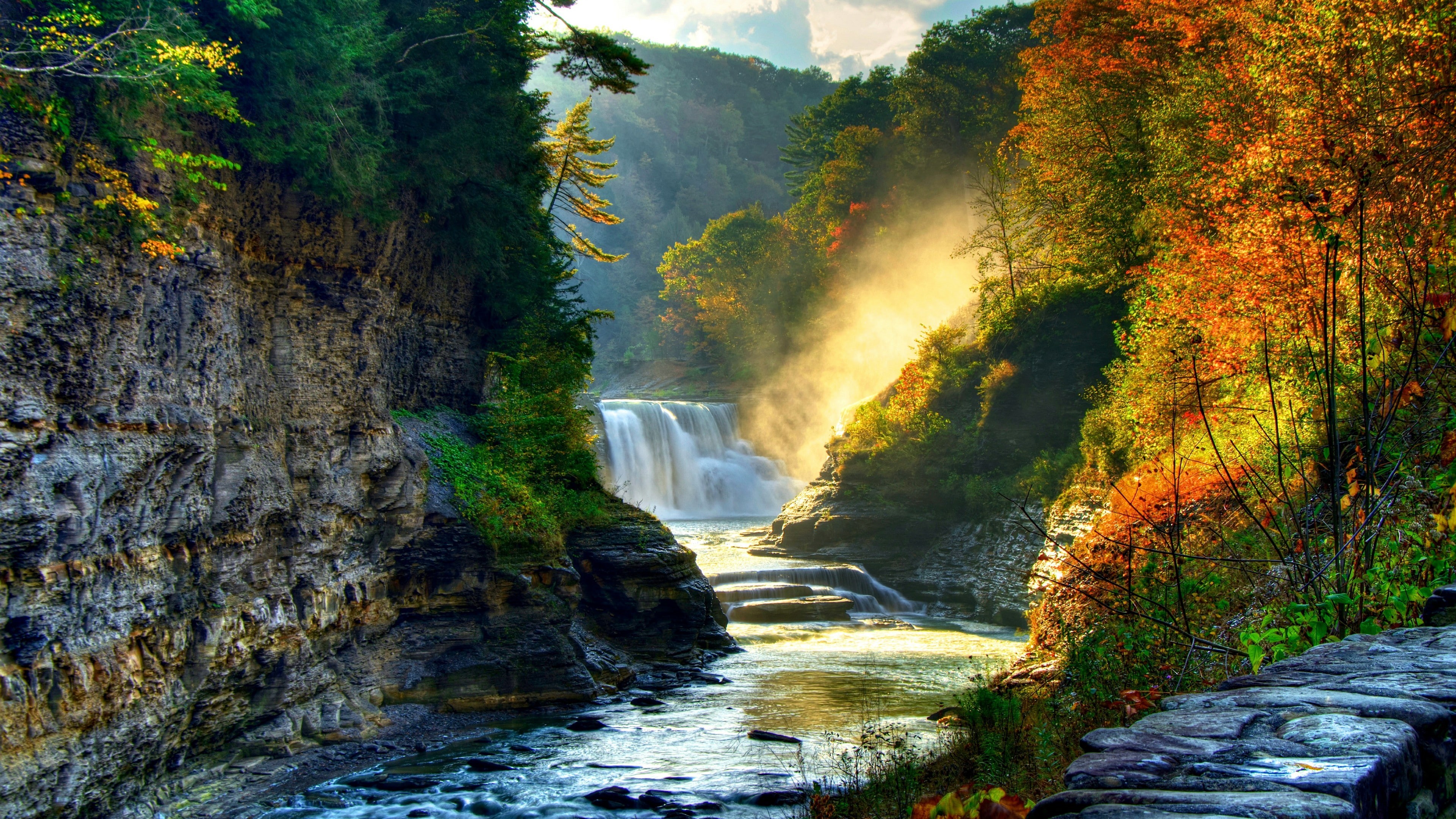 tree, 4K, forest, cascade, leaves, river, water, autumn, wilderness, stream, vegetation, nature, foliage, waterfall, fall, HD Wallpaper