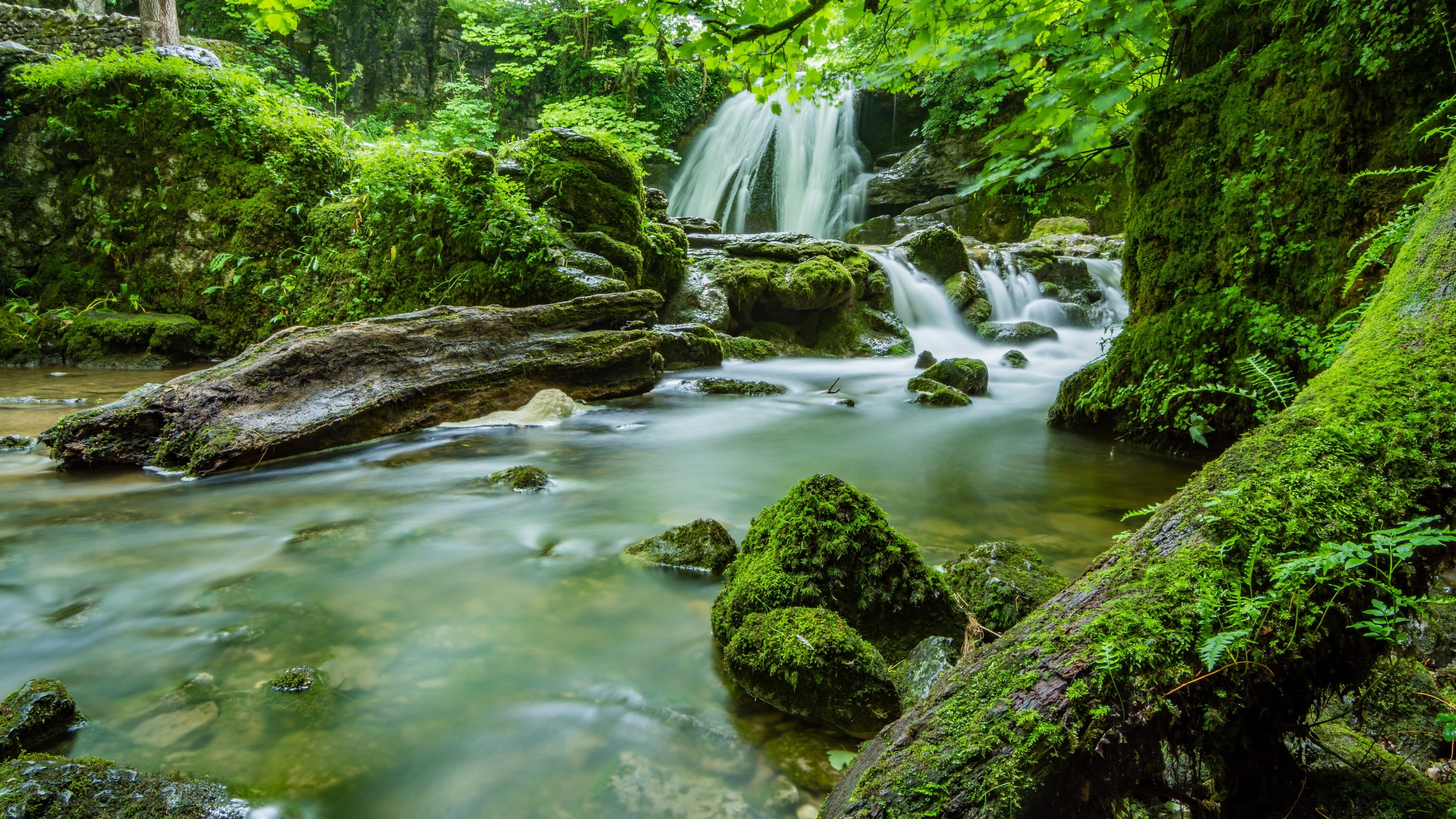 waterfall, mossy, moss, stream, forest, 4K, body of water, green nature, HD Wallpaper