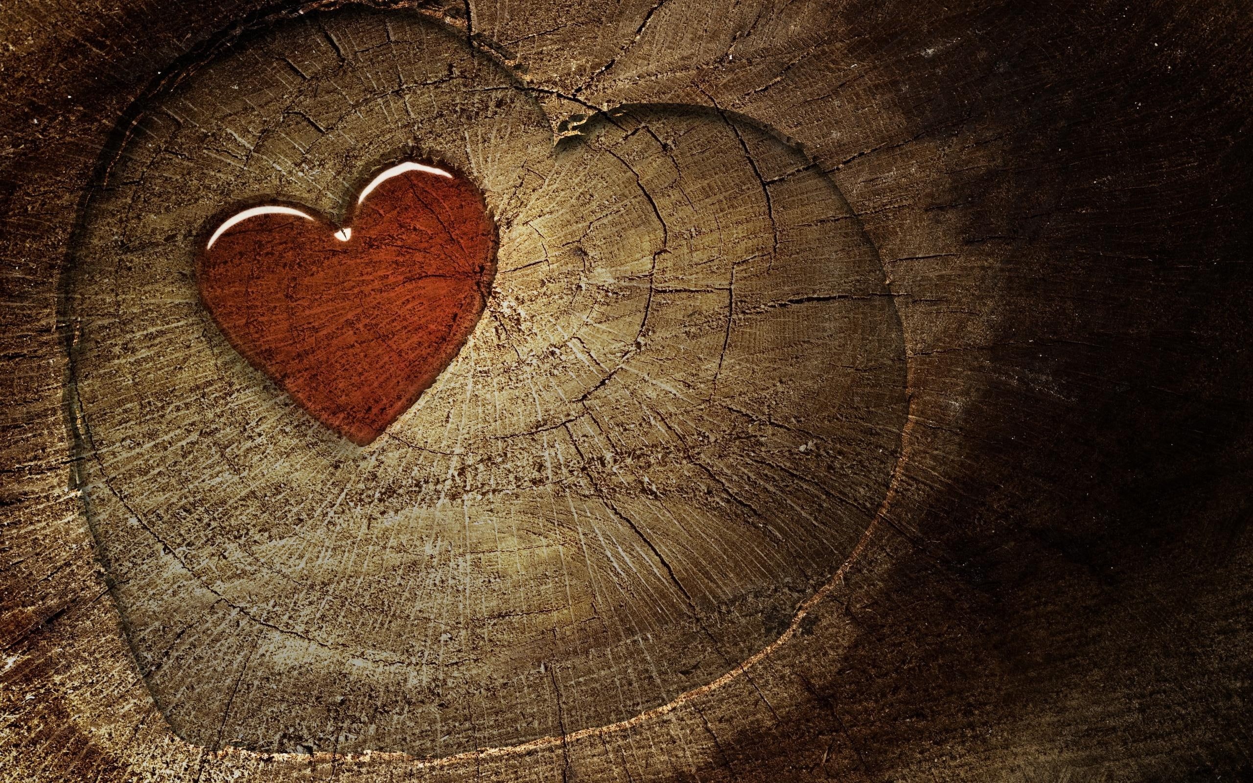 cute, hearts, love, heart, 3d and abstract, 2K, HD Wallpaper