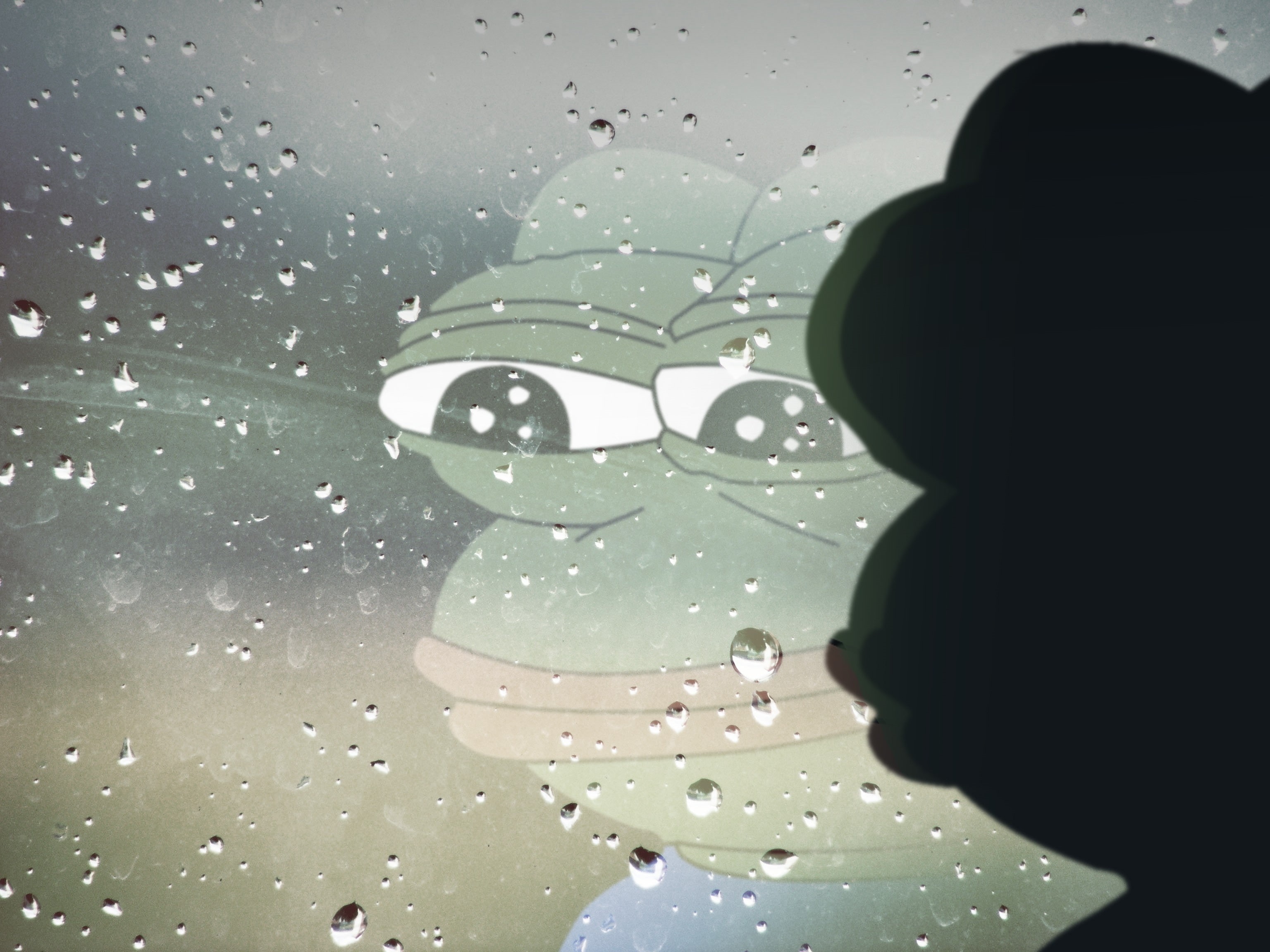 animals, 2K, frogs, feelsbadman, hd, art, HD Wallpaper