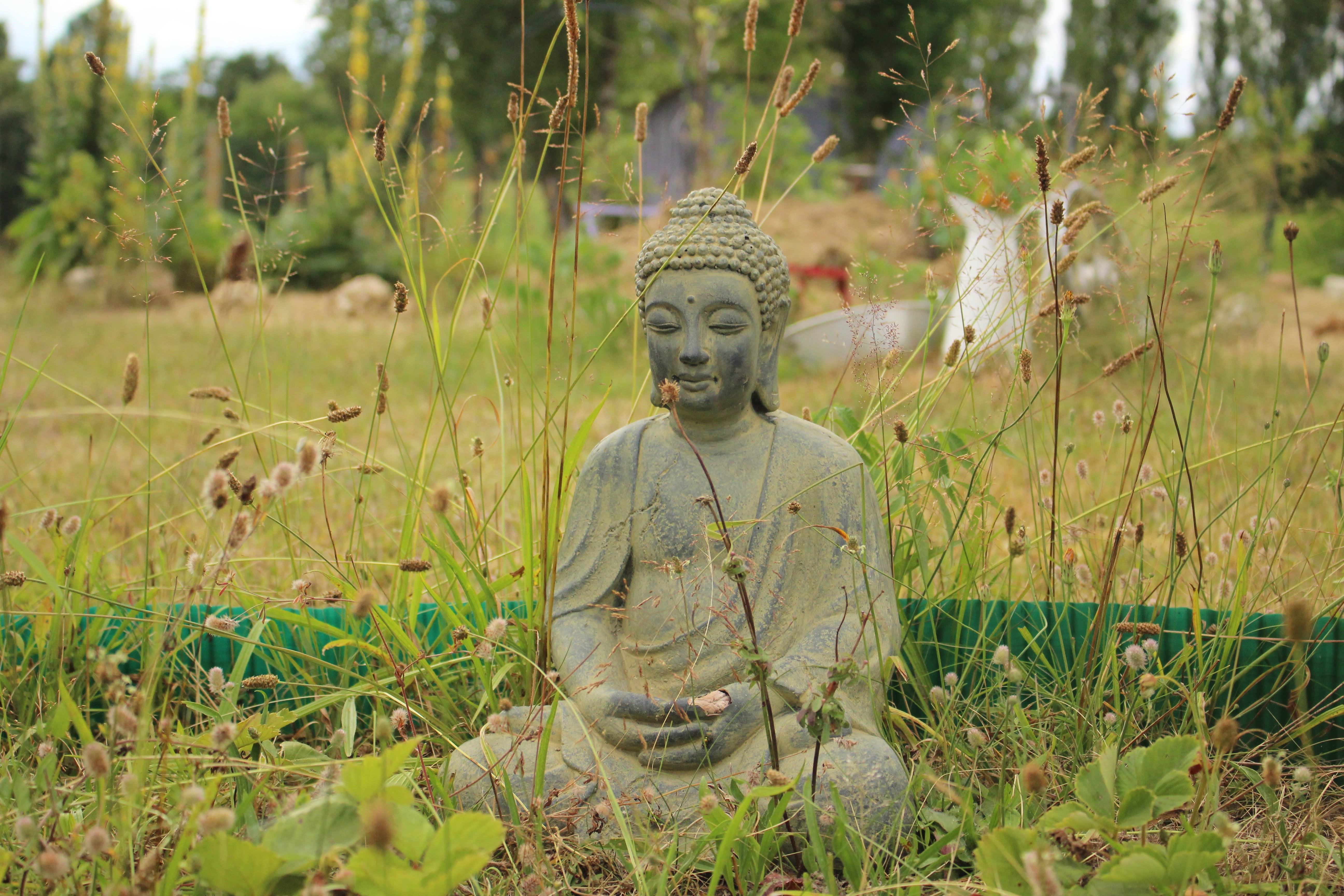 belief, indigenous Culture, buddhism, concrete, statue, art and craft, human representation, zen-like, idol, gray, grass, outdoors, nature, plant, east Asian Culture, HD Wallpaper