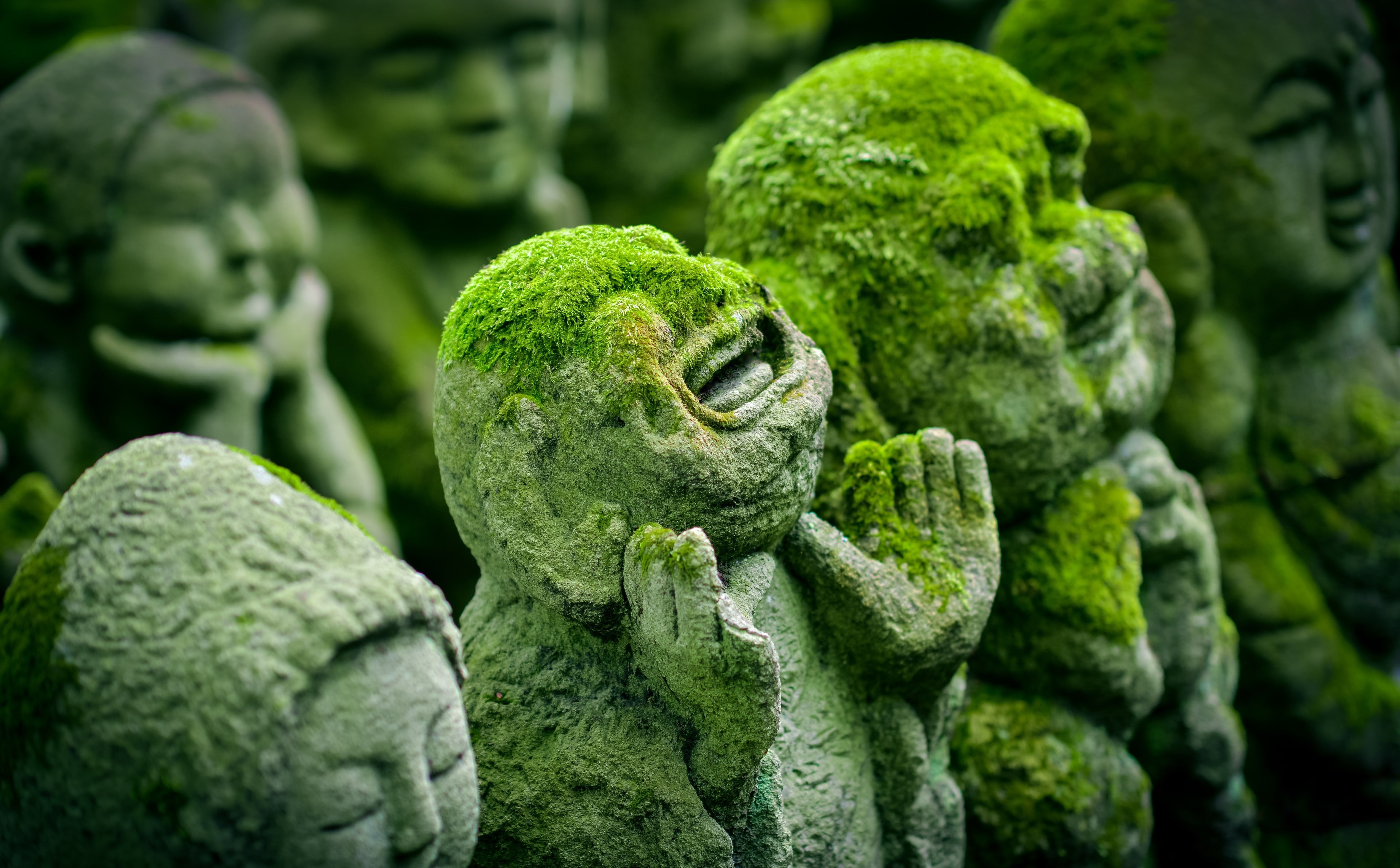 otagi, wellbeing, food and drink, focus on foreground, close-up, ji, Heritage, representation, spiritual, food, human representation, nenbutsu, Asia, Sculpture, HD Wallpaper