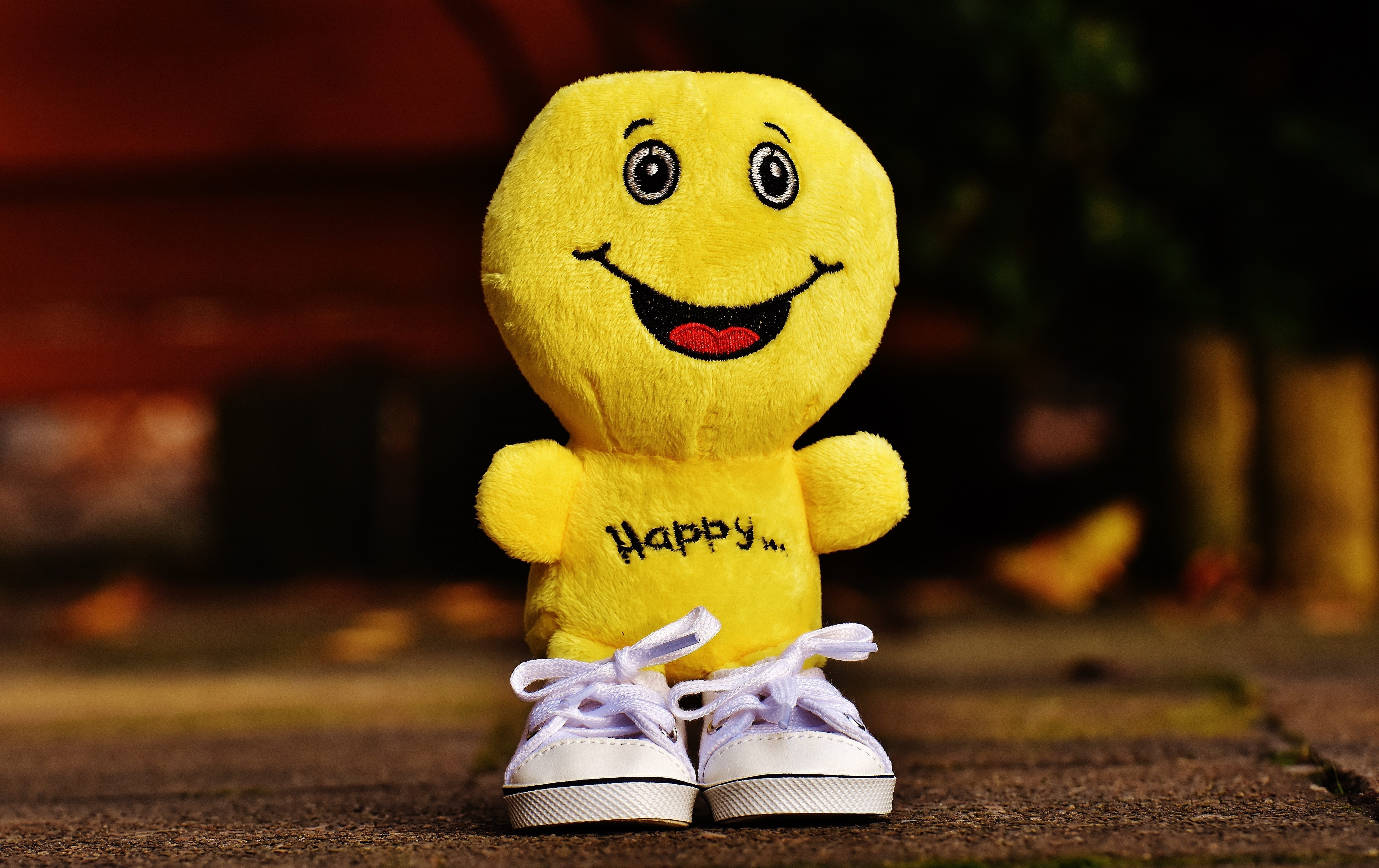 beginning, 5K, childhood, humor, frohnatur, smiley, smiling, anthropomorphic smiley face, smile, close-up, good mood, happy, focus on foreground, anthropomorphic, HD Wallpaper