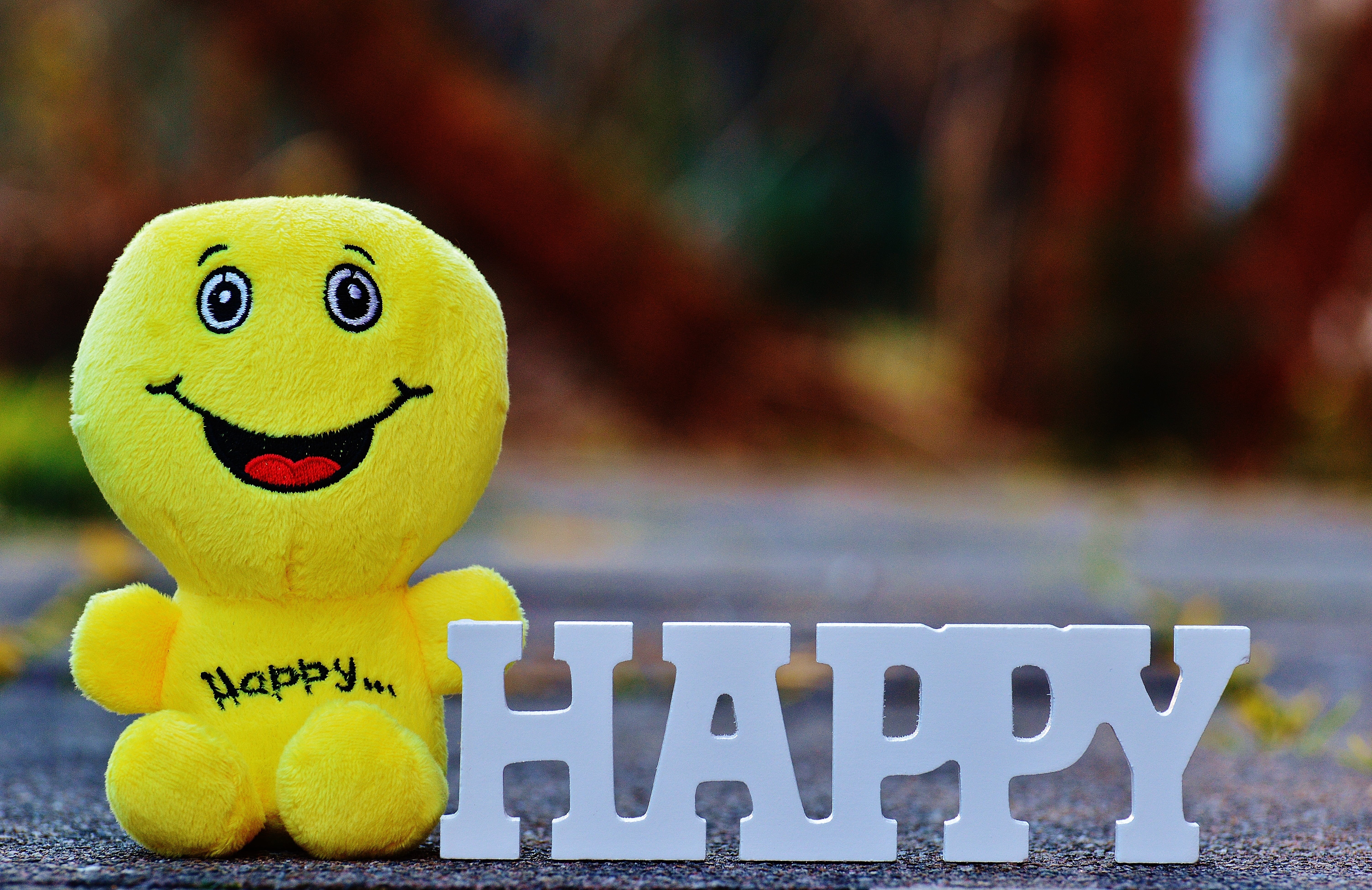 valentines day, green, cute, anthropomorphic smiley face, animal representation, smiley, smile, joy, animal, close-up, focus on foreground, plush, good mood, HD Wallpaper
